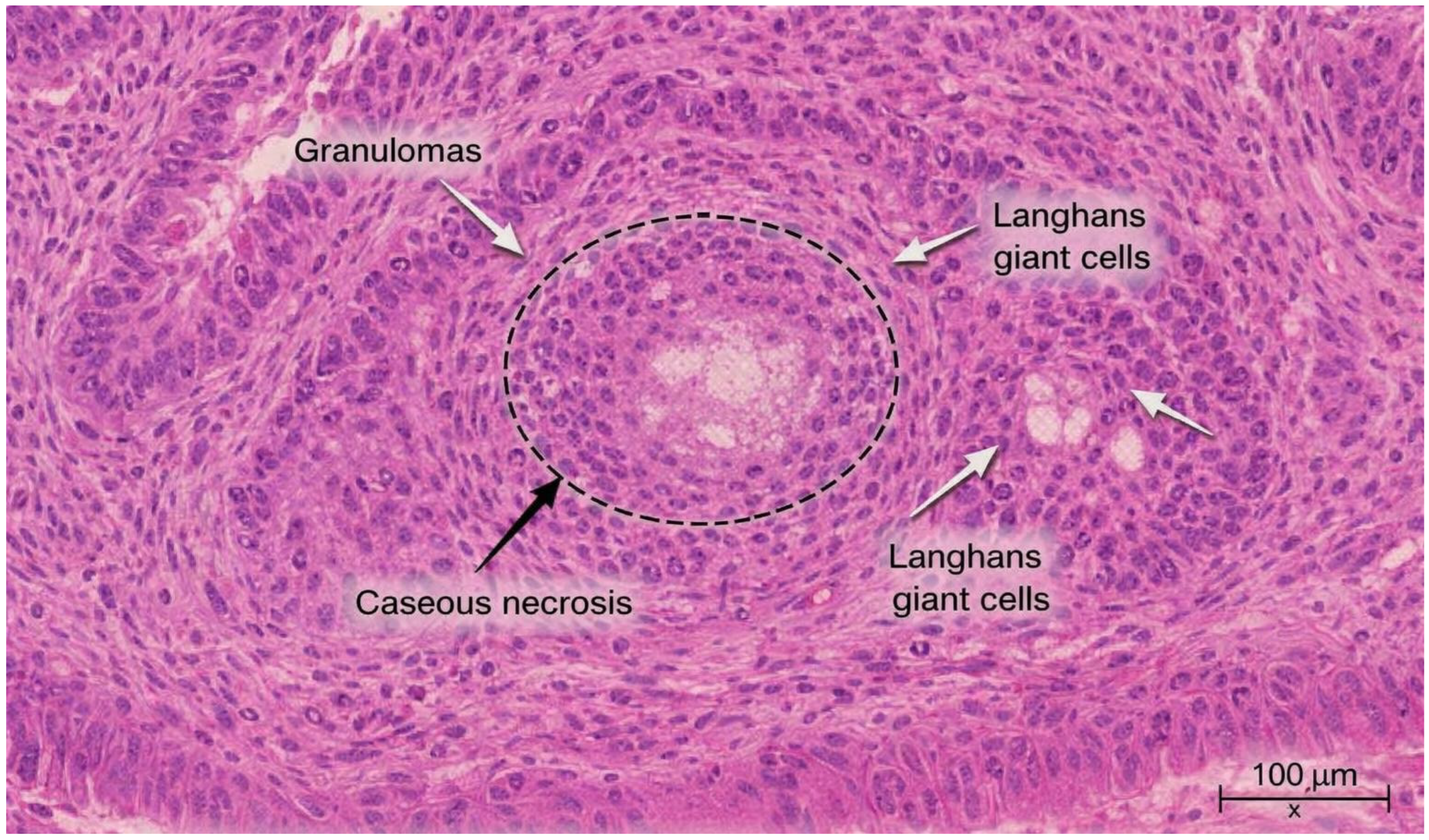 Diagnostics 16 00727 g005