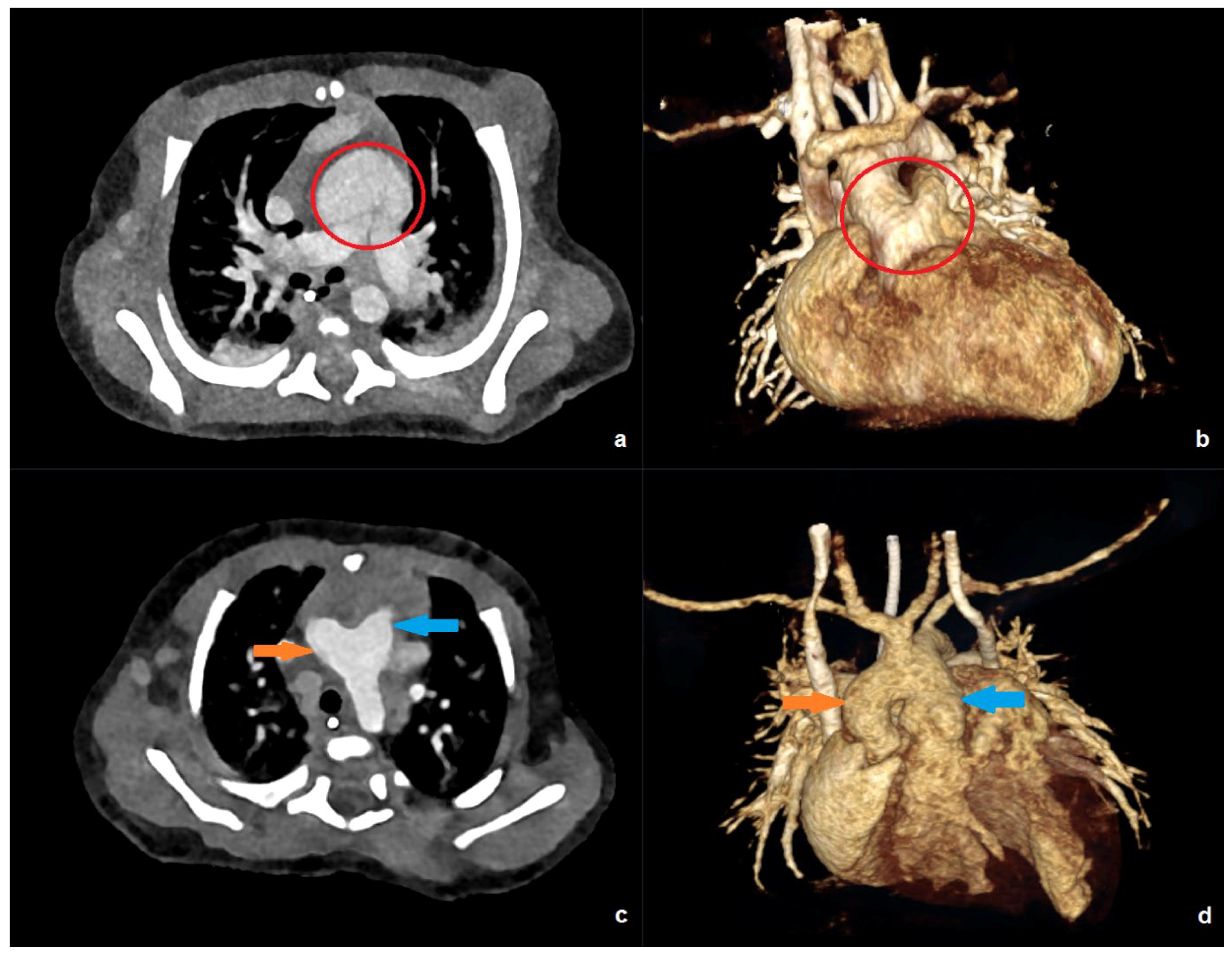 Diagnostics 16 00735 g003