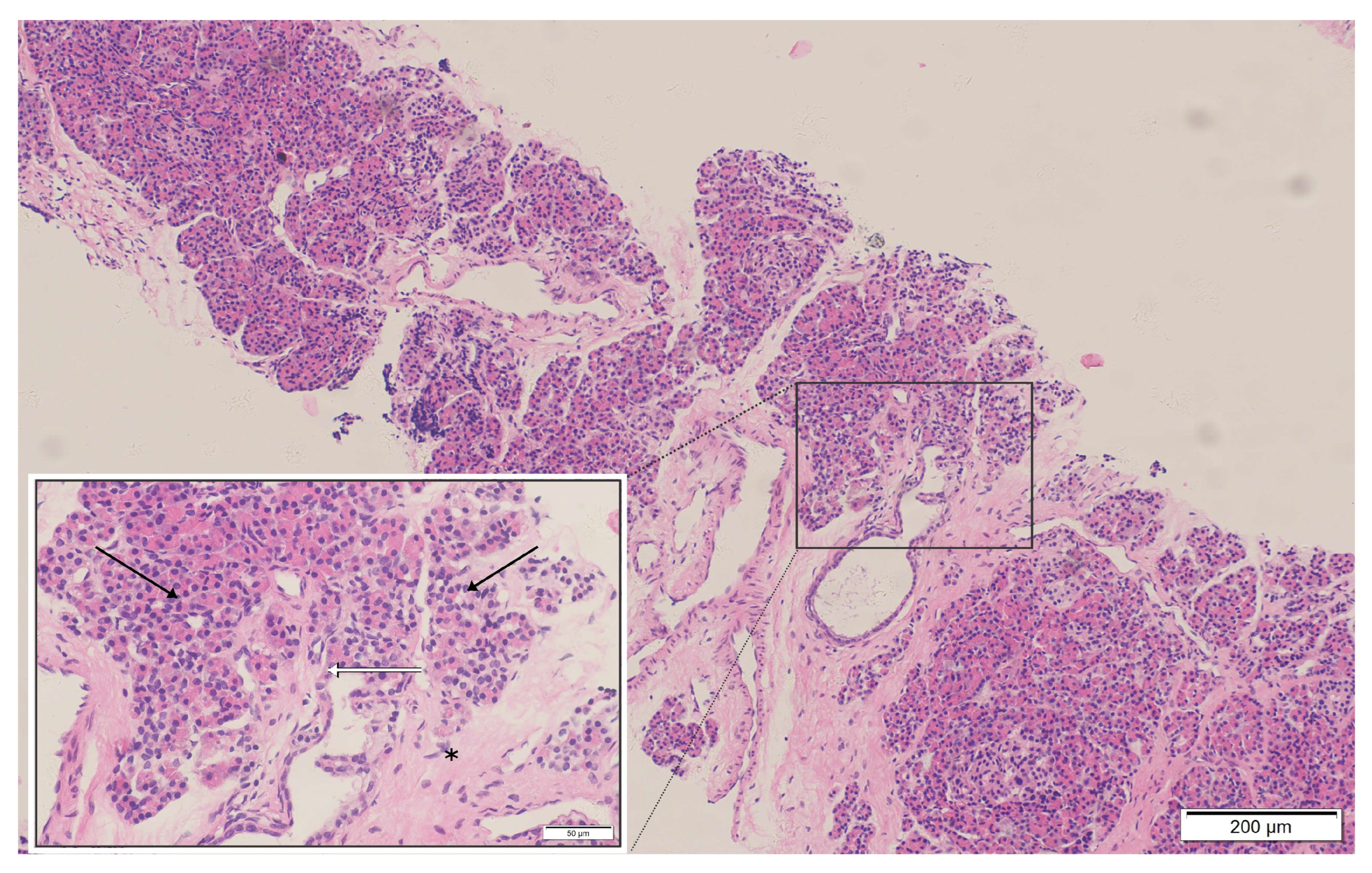 Diagnostics 16 00797 g002
