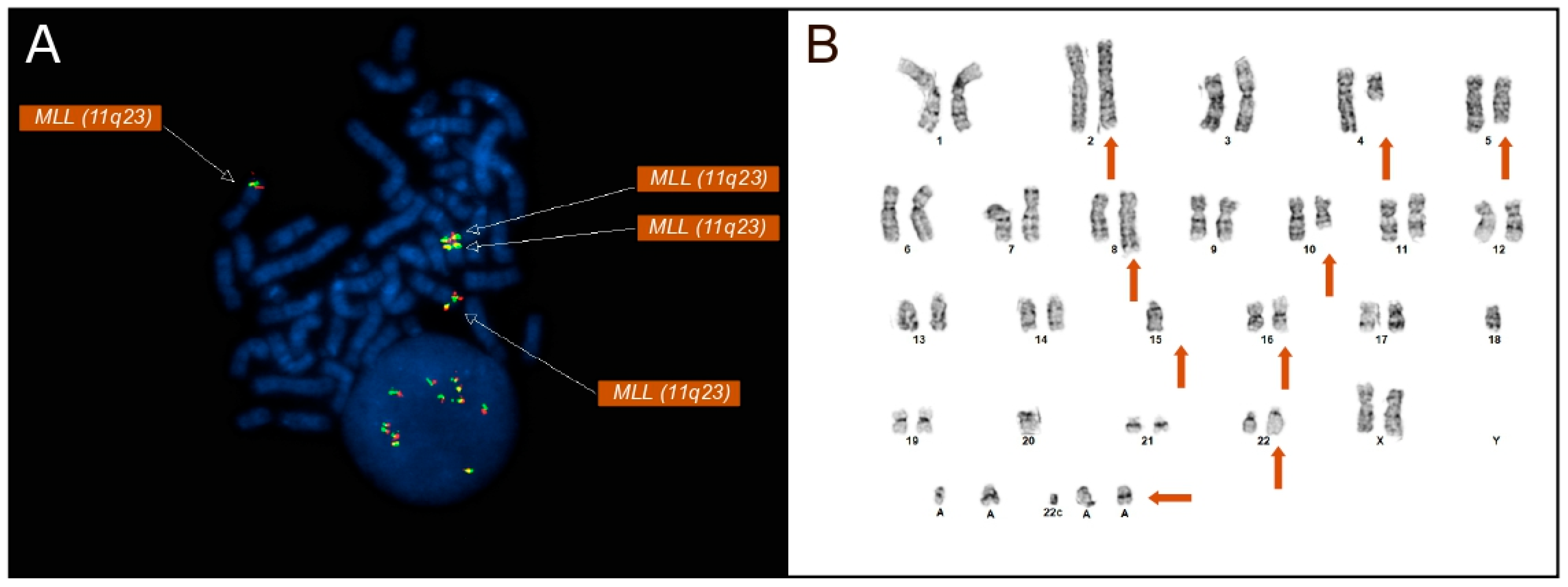 Diagnostics 16 00820 g001