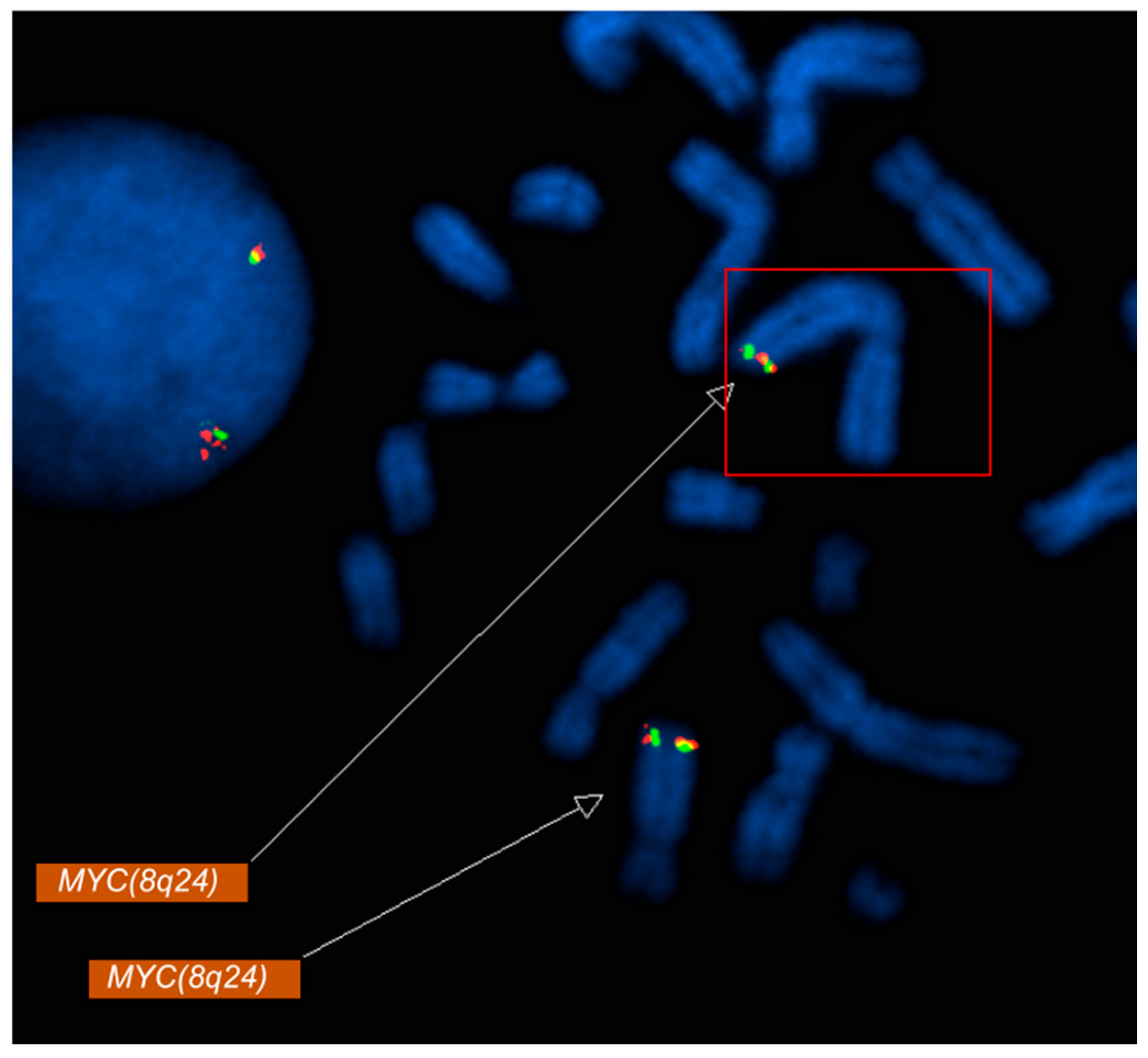 Diagnostics 16 00820 g002