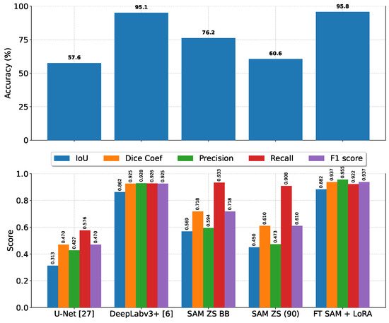 Fine-Tuned Segment Anything Model with Low-Rank Adaptation for Chest X ...