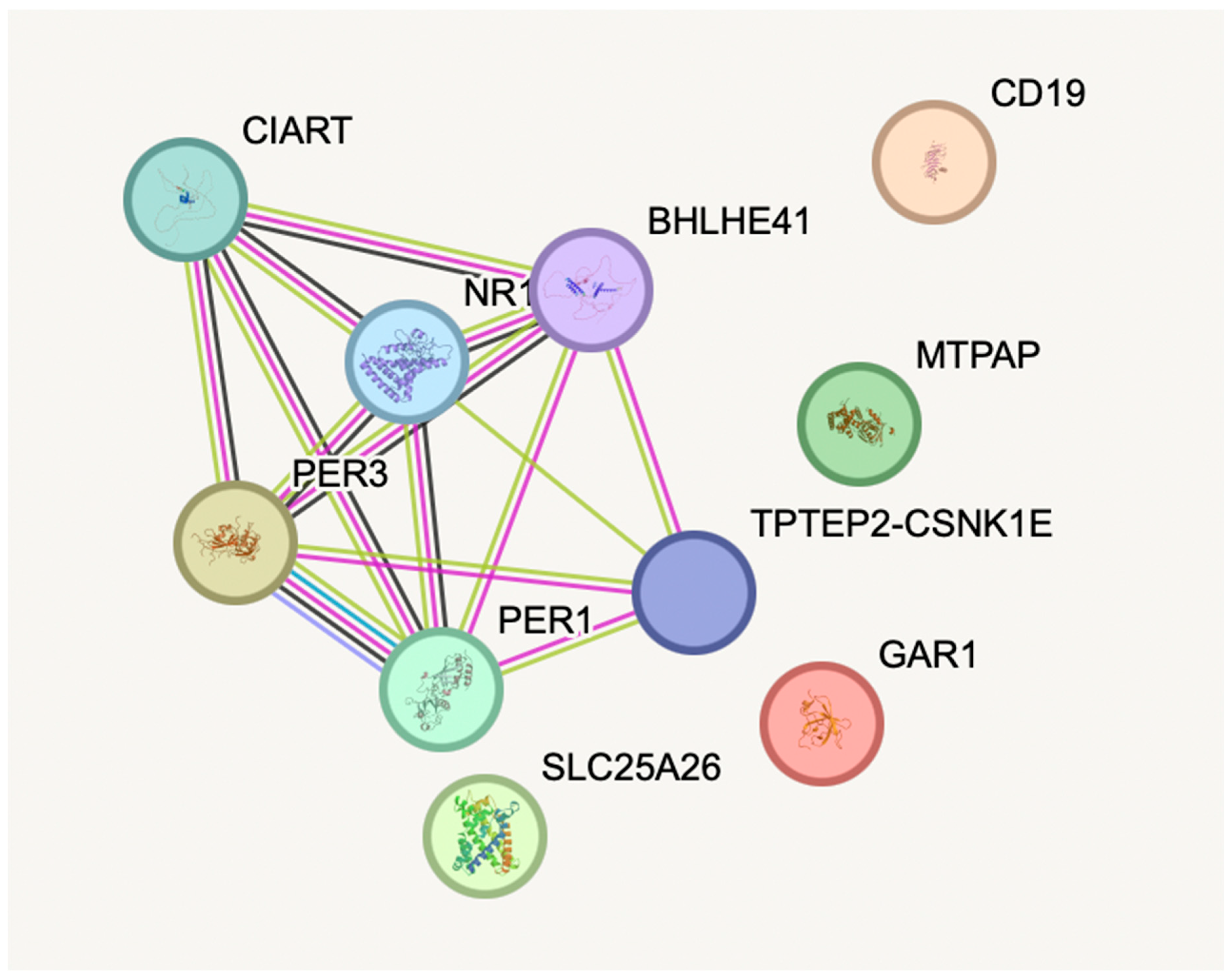 Diagnostics 16 00884 g007