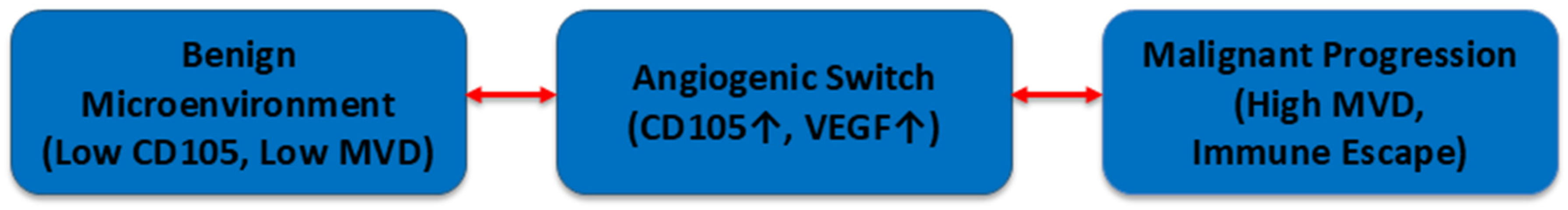 Diagnostics 16 00898 g004 Diagnostics 16 00898 g004
