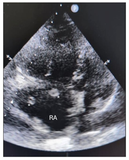 Diagnostics 16 00917 g002