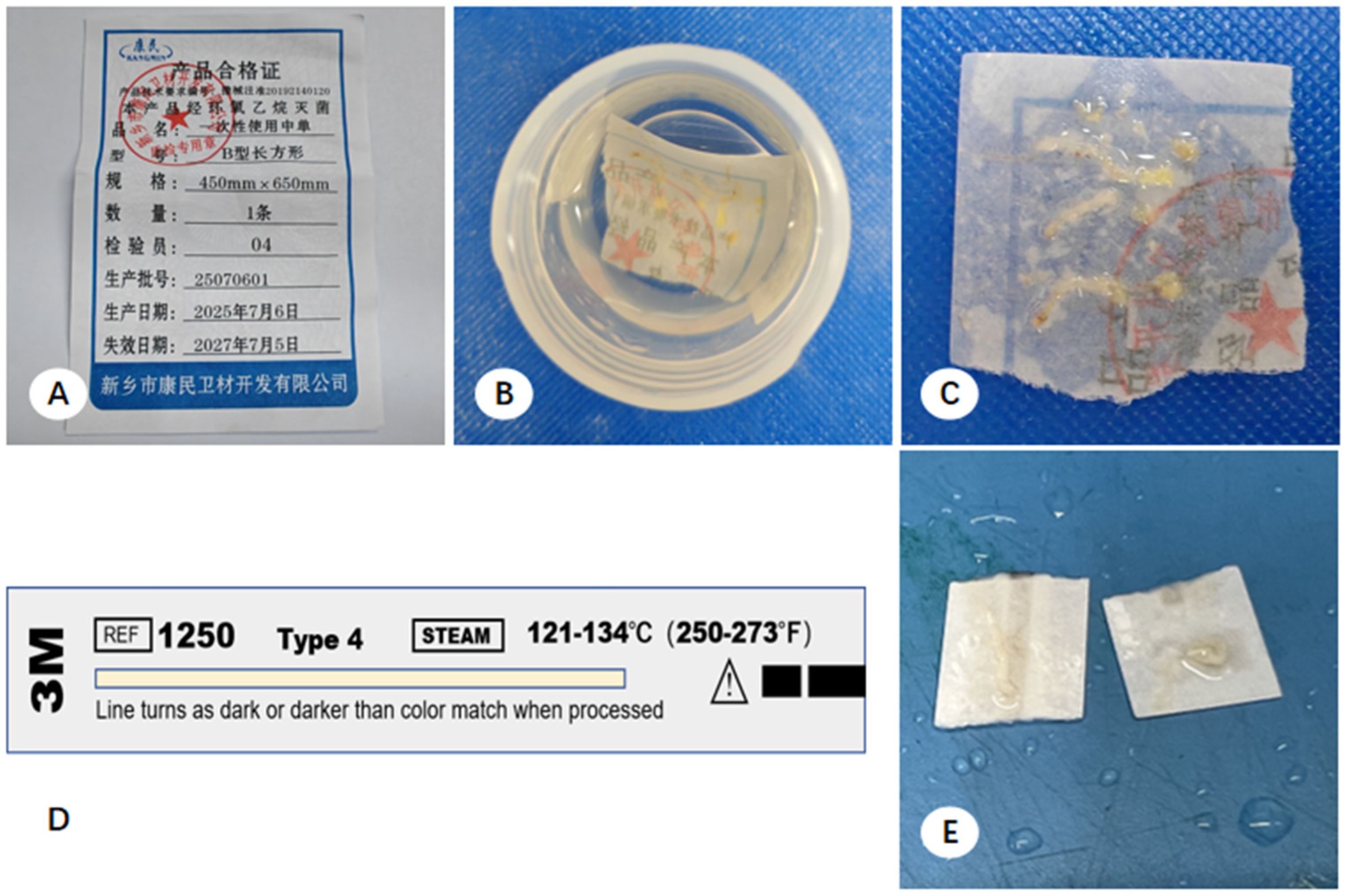 Diagnostics 16 00962 g002