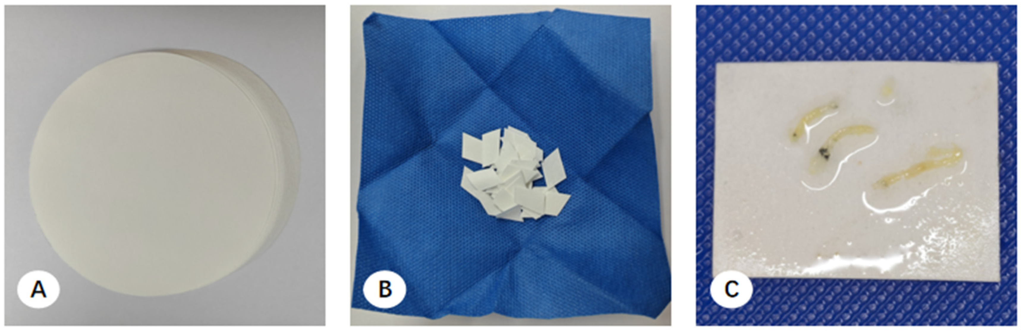 Diagnostics 16 00962 g003