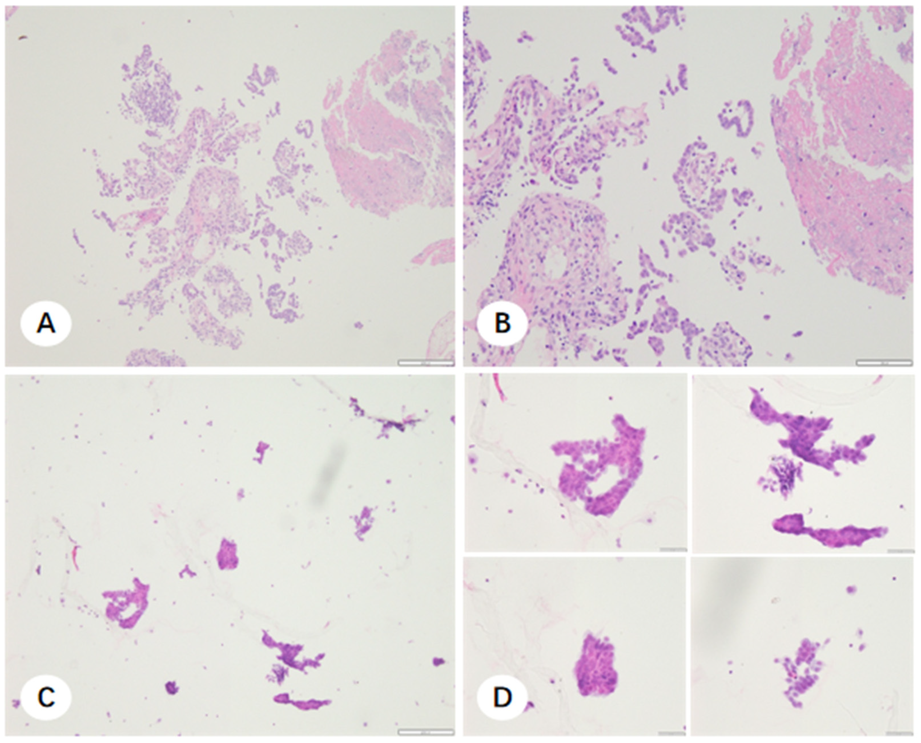 Diagnostics 16 00962 g007