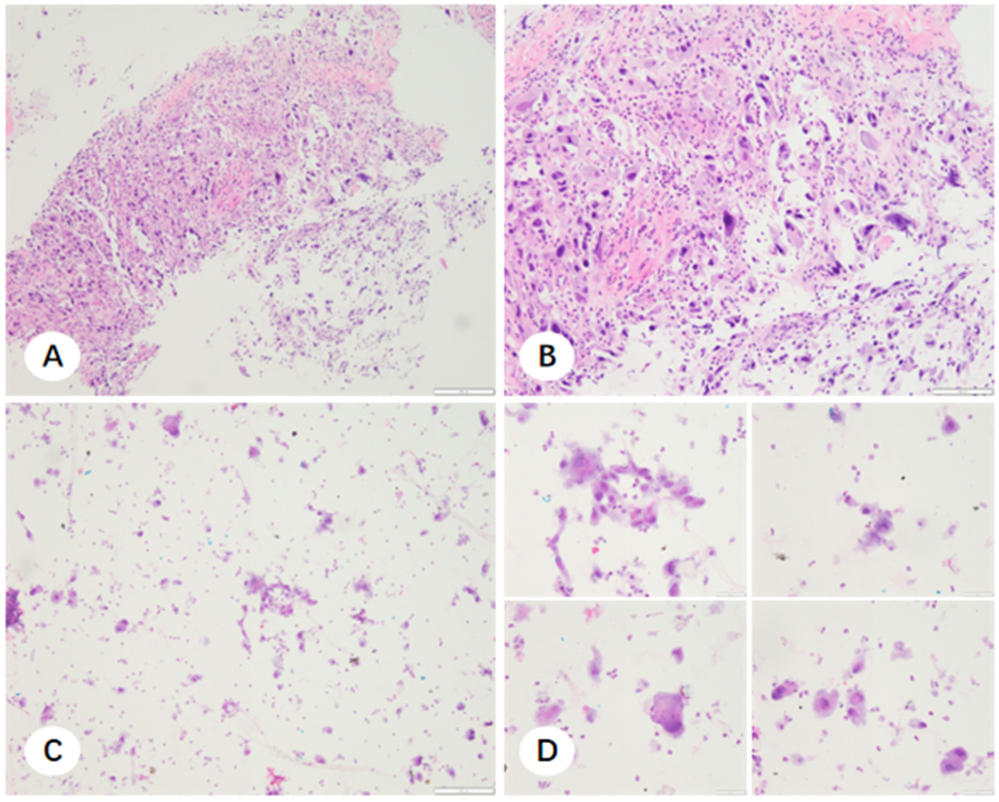 Diagnostics 16 00962 g008