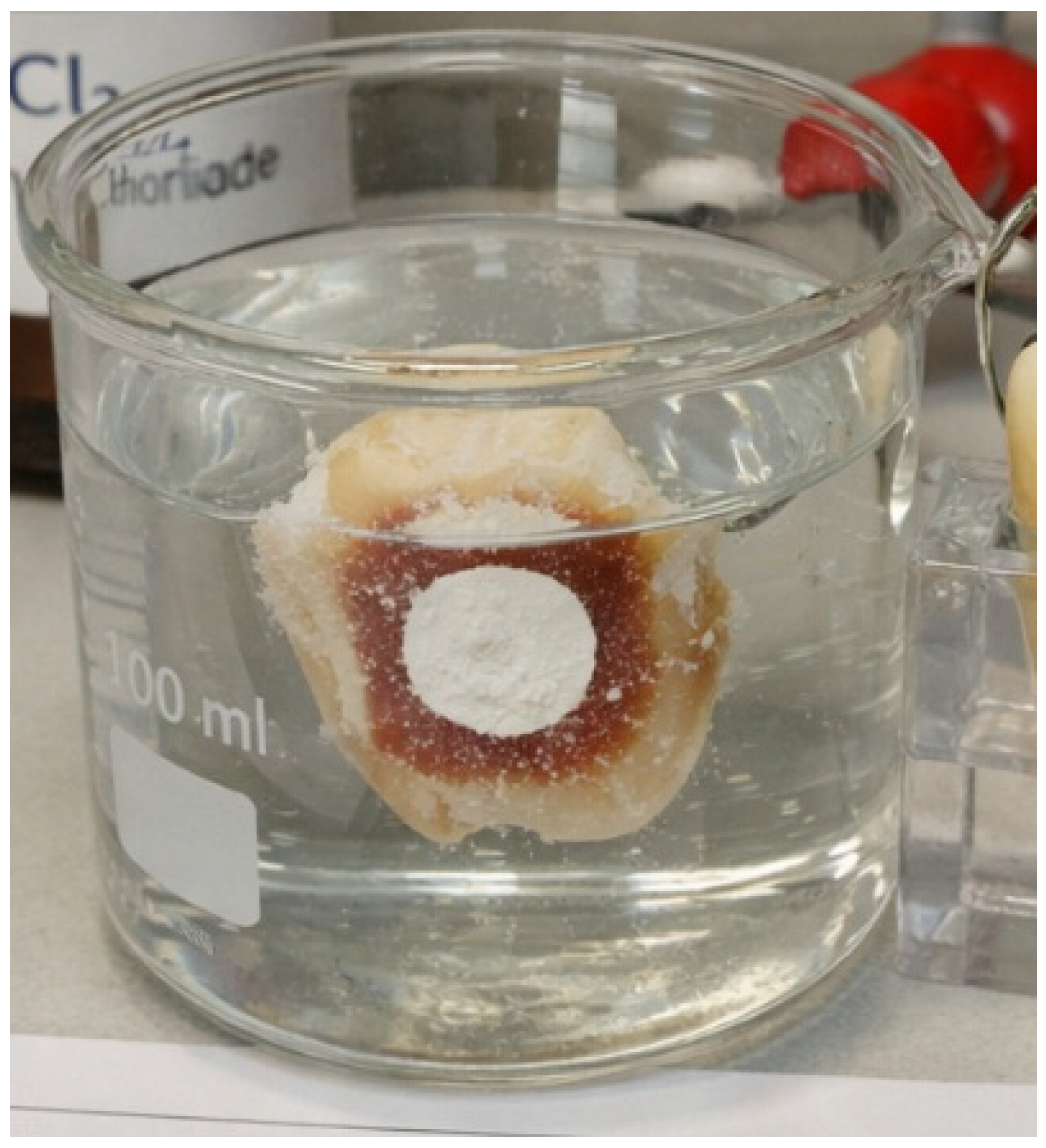 Diagnostics 16 00970 g001