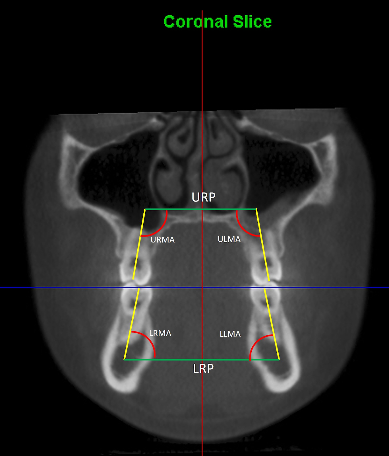 Diagnostics 16 01034 g002