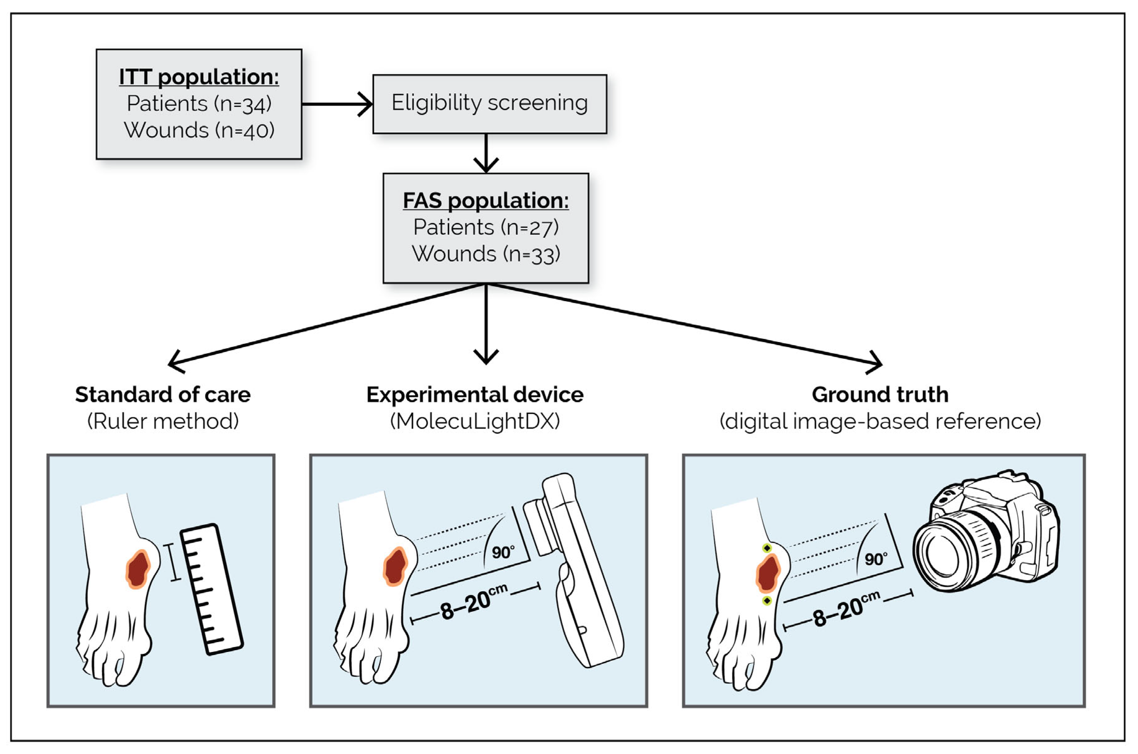 Diagnostics 16 01055 g001 Diagnostics 16 01055 g001