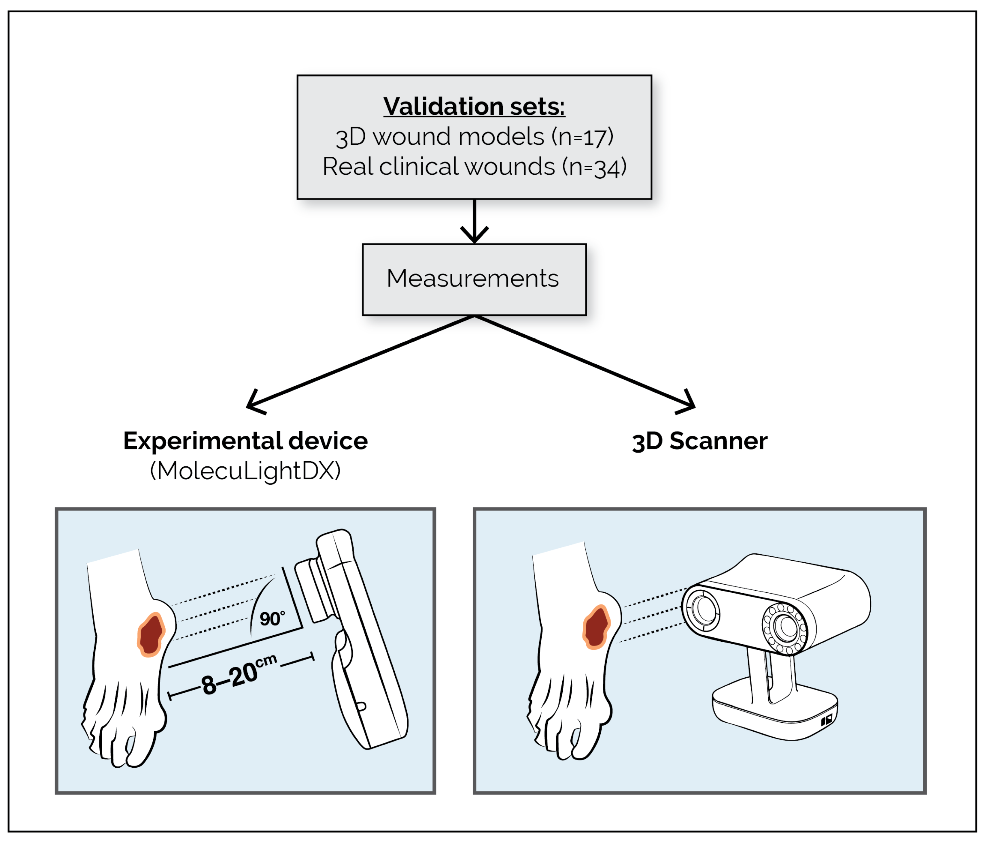 Diagnostics 16 01055 g002 Diagnostics 16 01055 g002