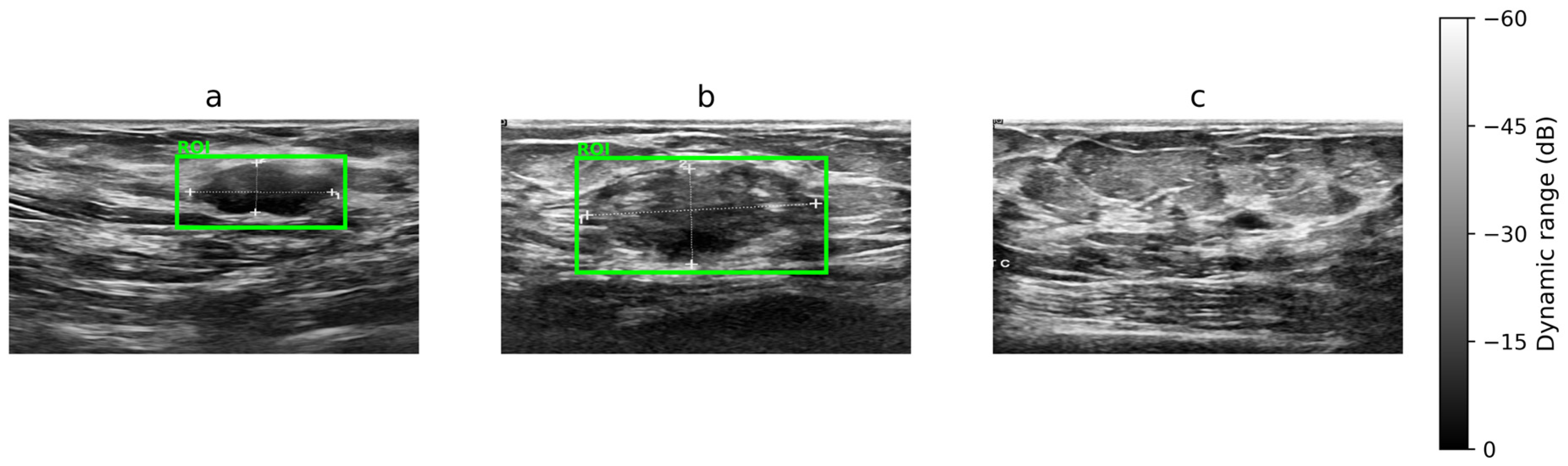 Diagnostics 16 01176 g001 Diagnostics 16 01176 g001