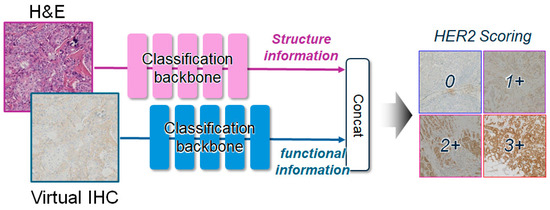 Diagnostics 16 01319 g003