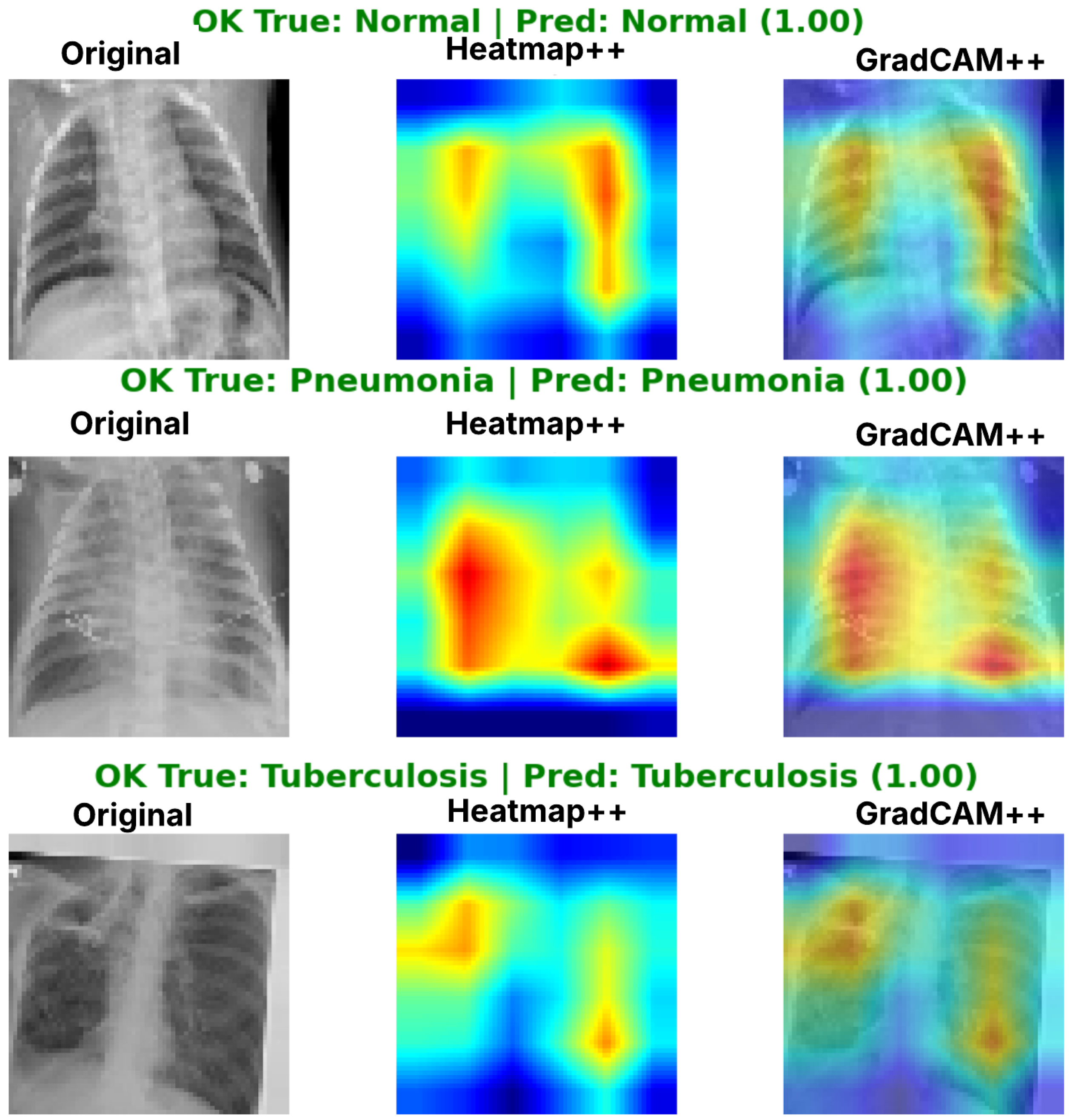 Diagnostics 16 01529 g026 Diagnostics 16 01529 g026