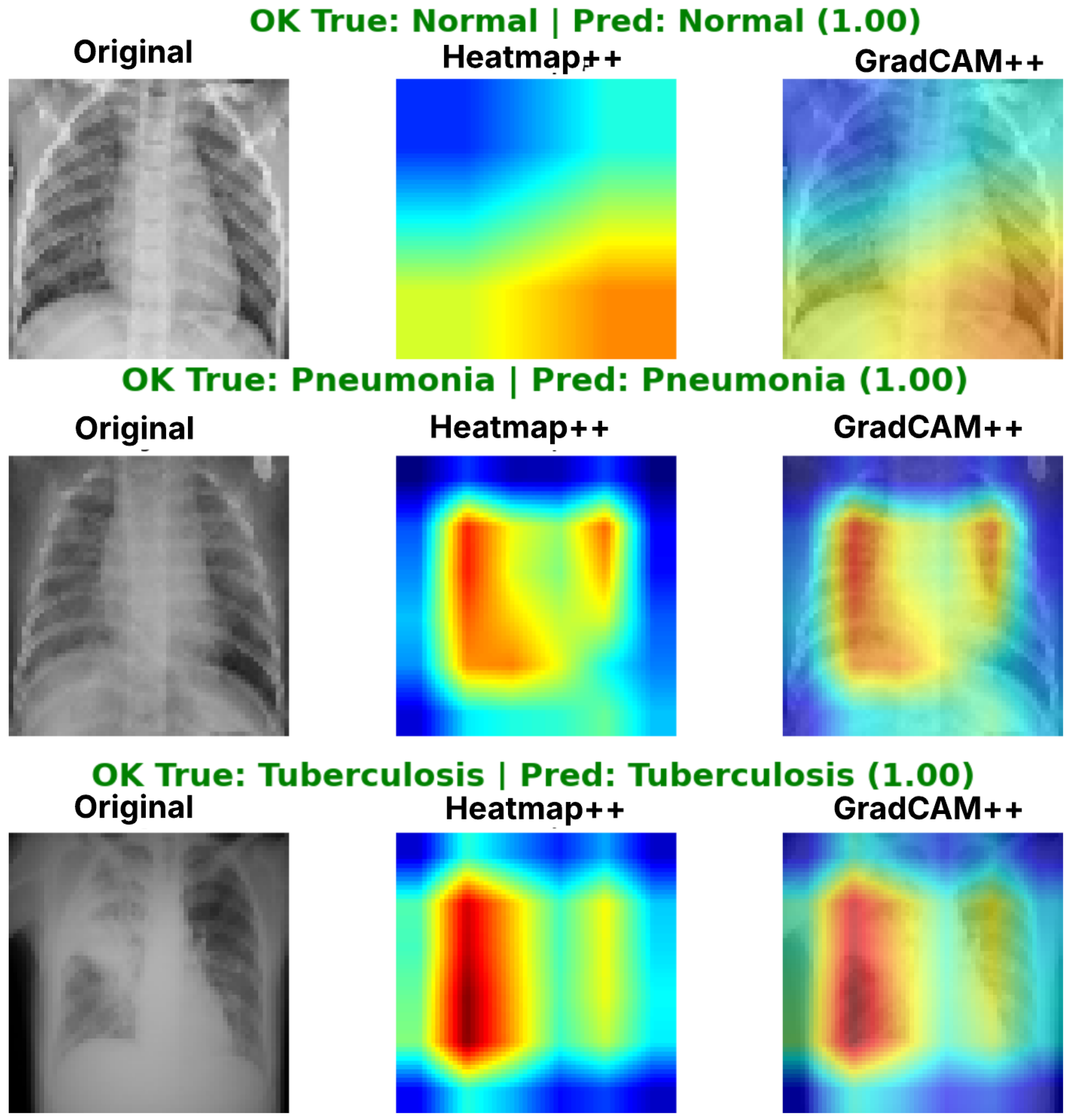 Diagnostics 16 01529 g027 Diagnostics 16 01529 g027