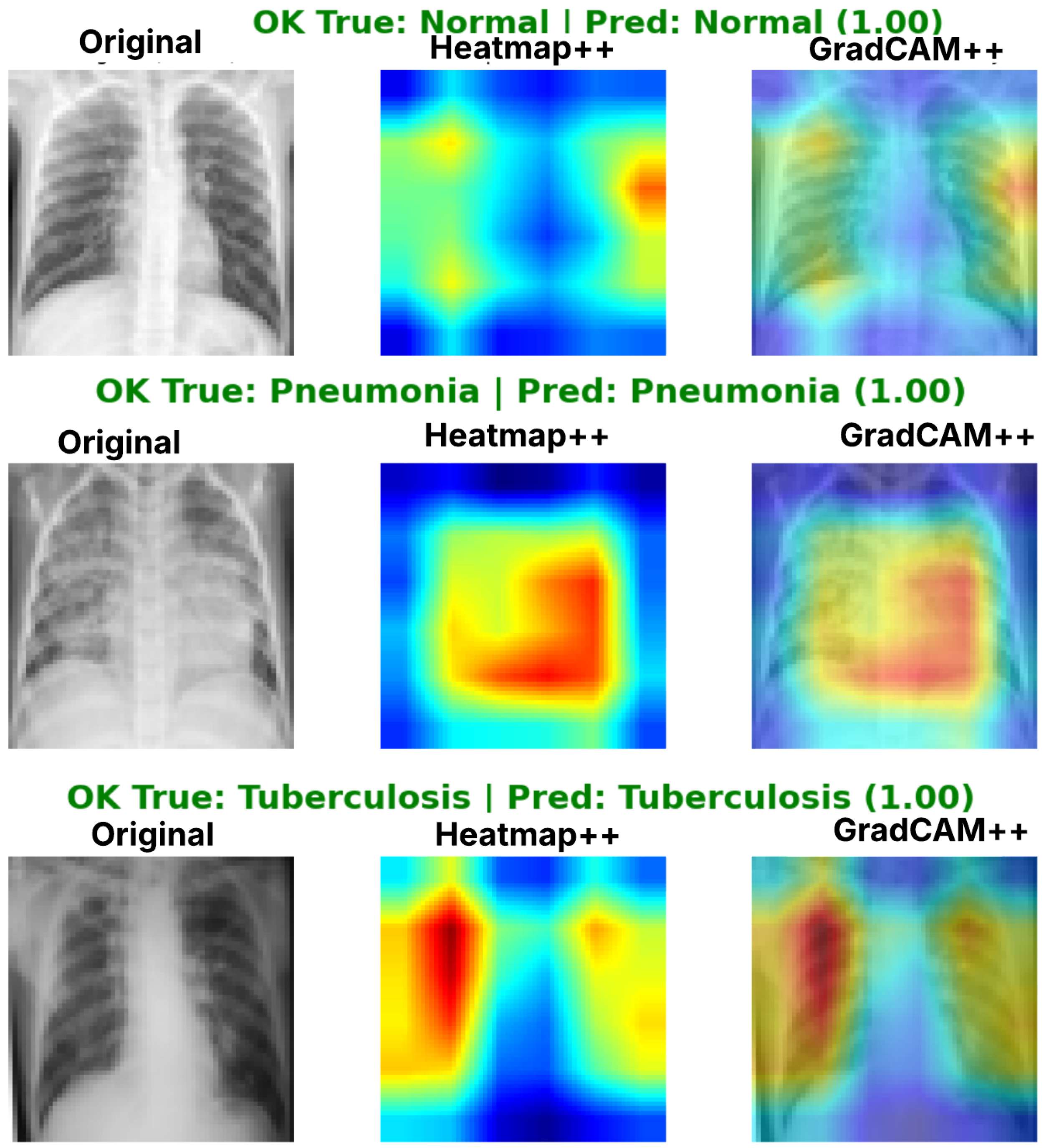 Diagnostics 16 01529 g028 Diagnostics 16 01529 g028
