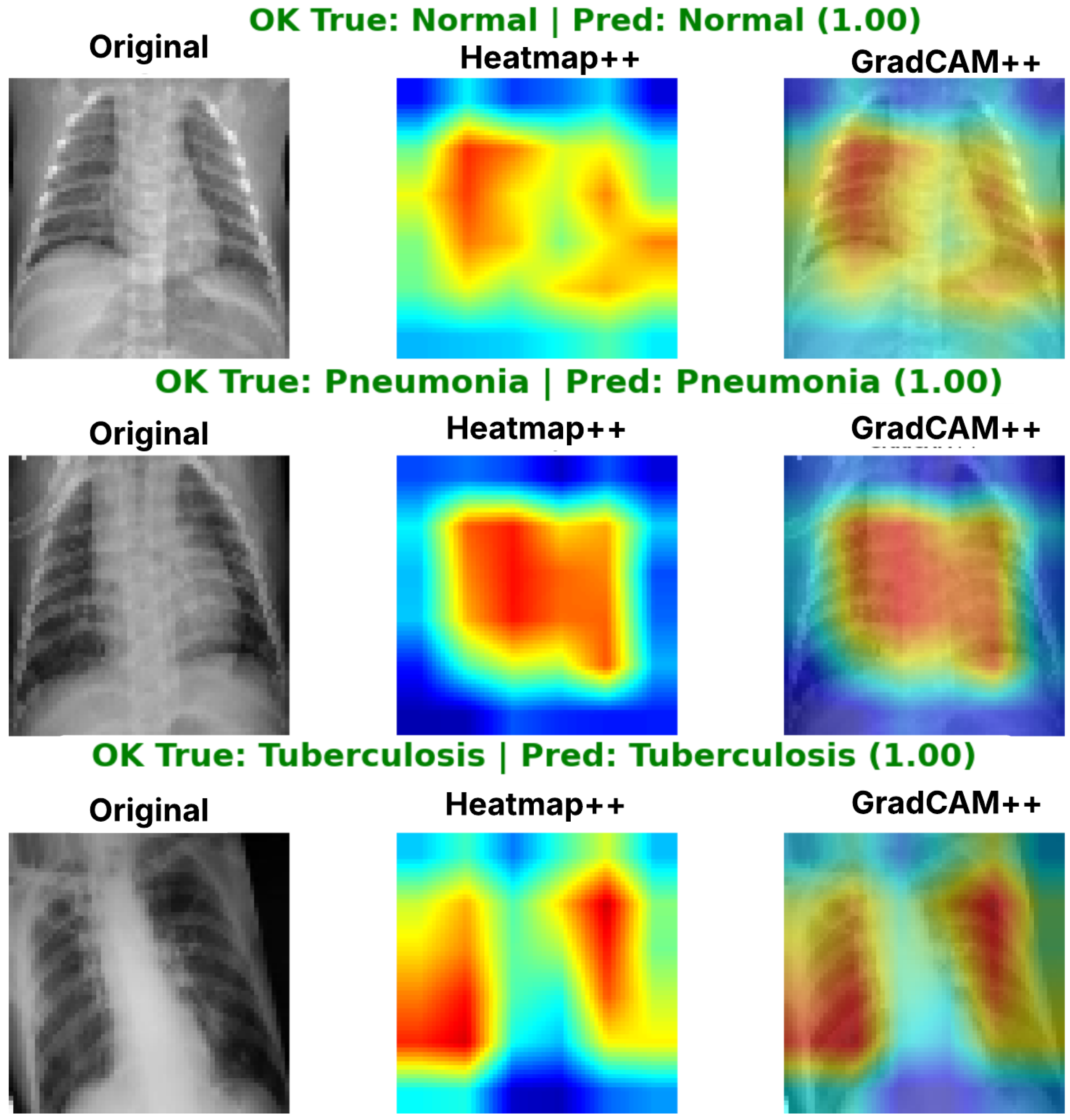 Diagnostics 16 01529 g029 Diagnostics 16 01529 g029