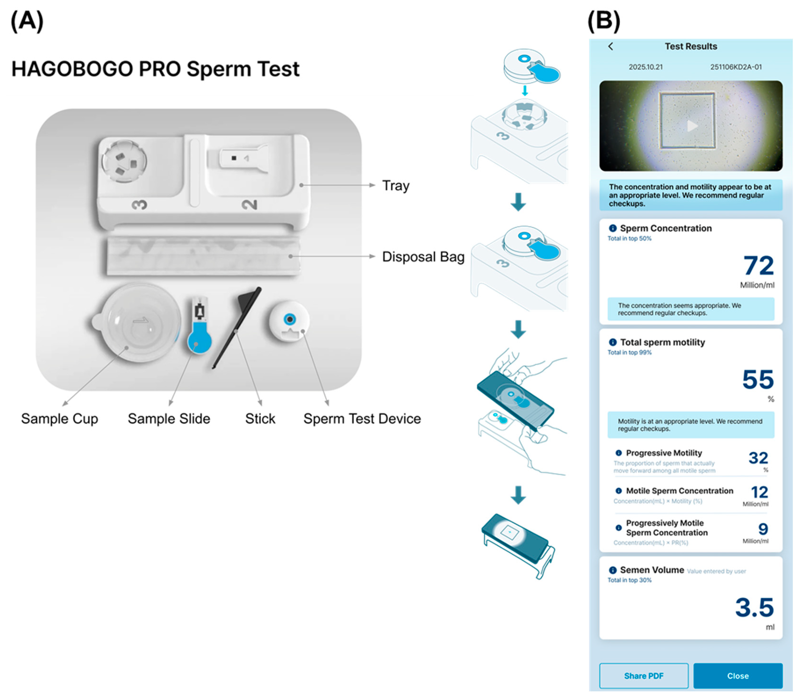 Diagnostics 16 01631 g001 Diagnostics 16 01631 g001