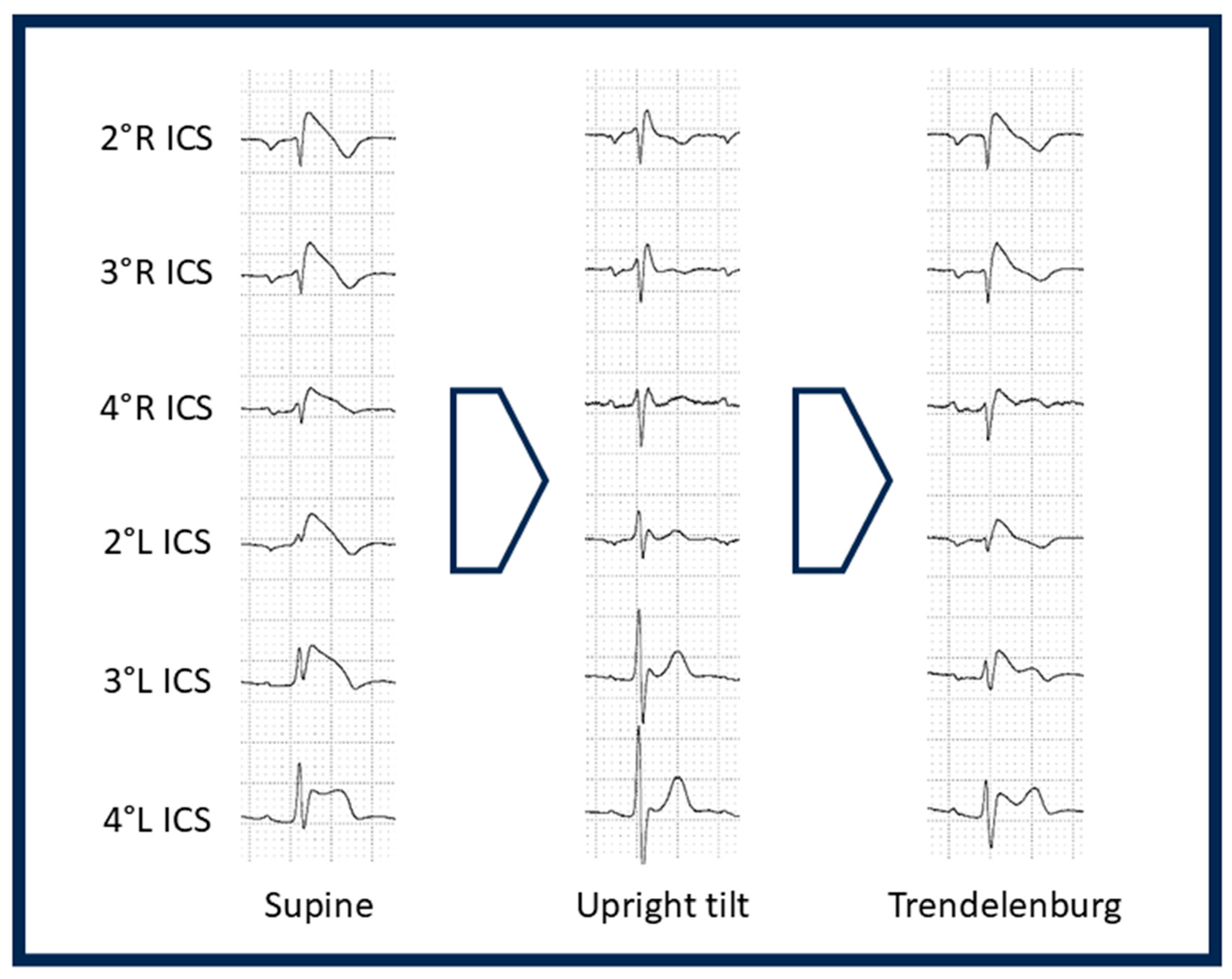 Diagnostics 16 01718 g004 Diagnostics 16 01718 g004