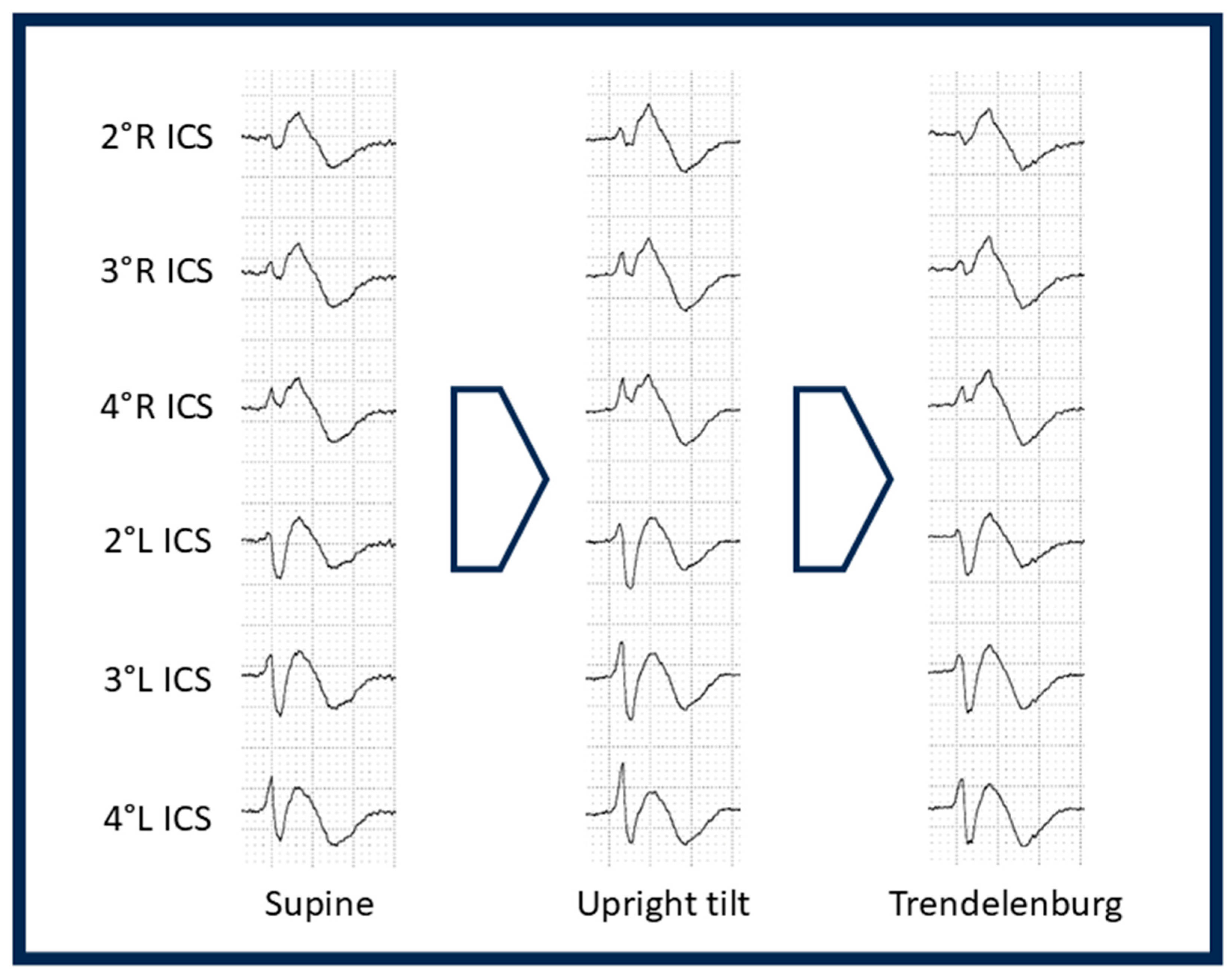 Diagnostics 16 01718 g005 Diagnostics 16 01718 g005
