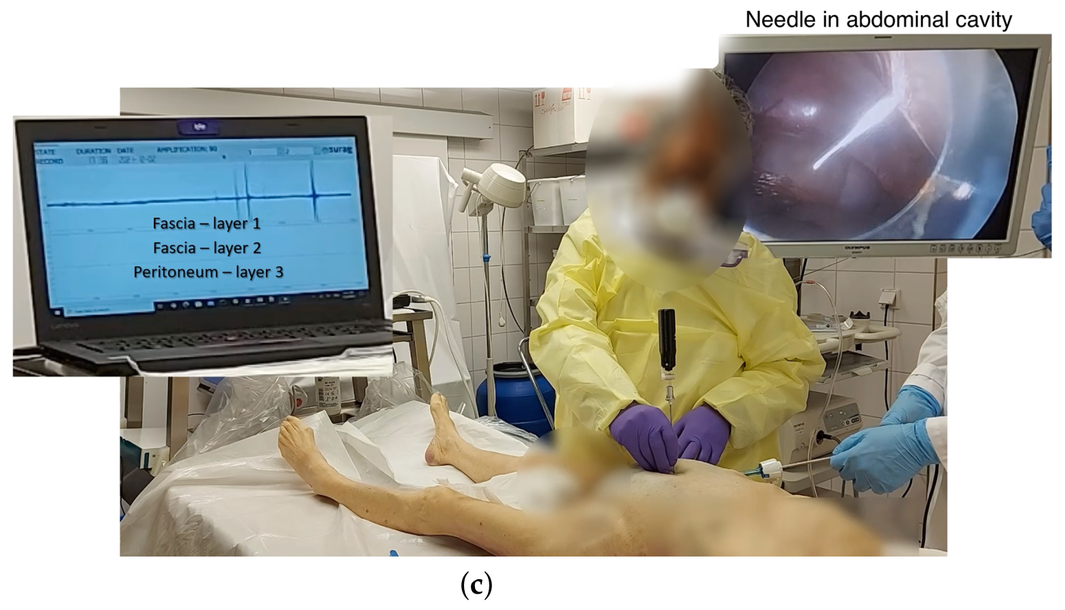 Diagnostics 16 01780 g002b Diagnostics 16 01780 g002b