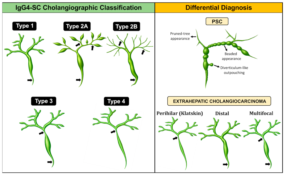 Diagnostics 16 01806 g020 Diagnostics 16 01806 g020