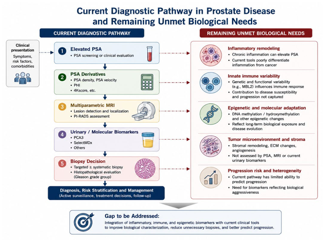 Diagnostics 16 01865 g002 Diagnostics 16 01865 g002