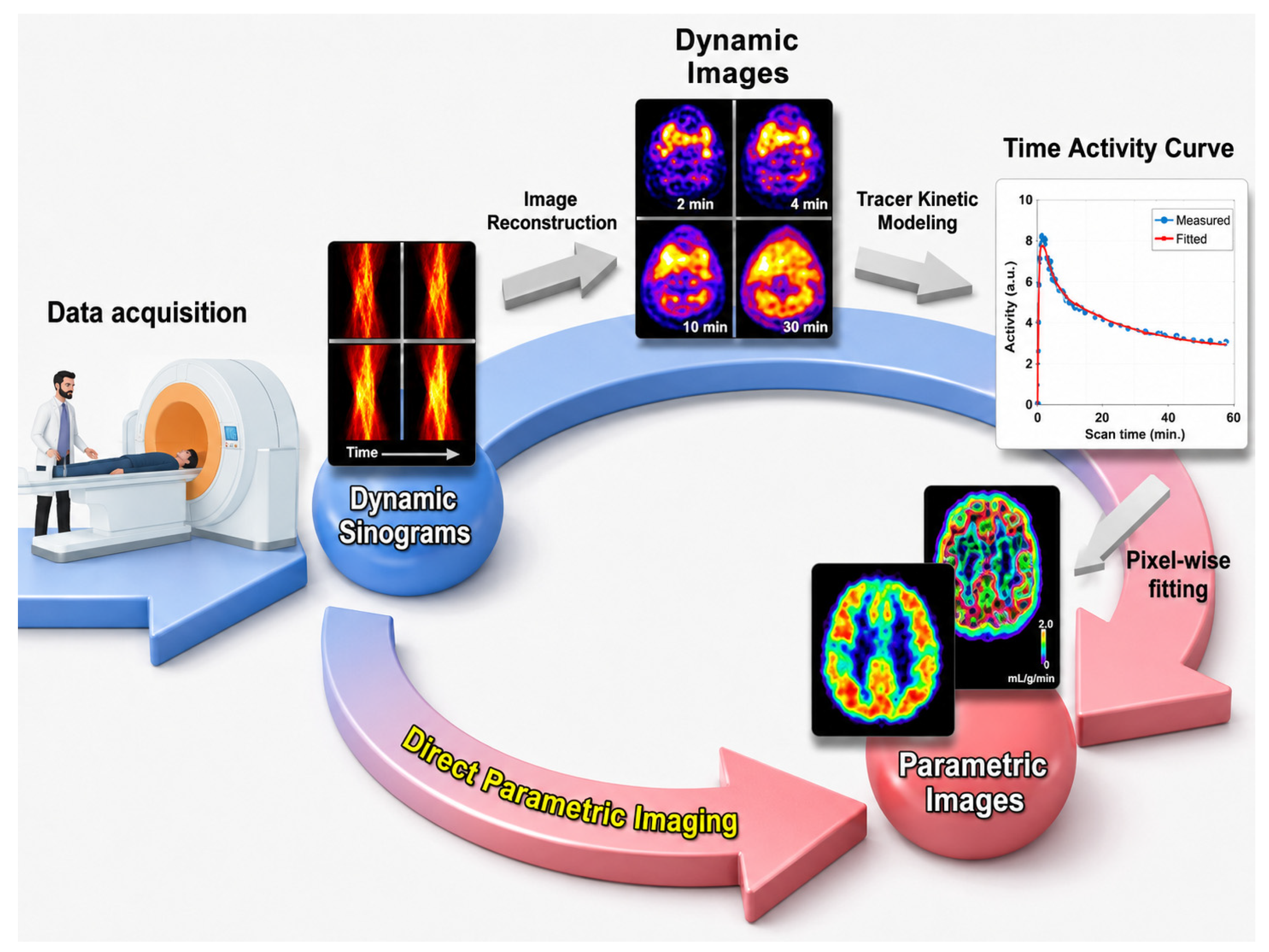 Whole-Body Dynamic Positron Emission and Computed Tomography (WBD-PET ...
