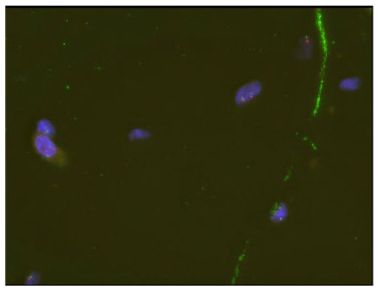 Diagnostics 16 02028 g004