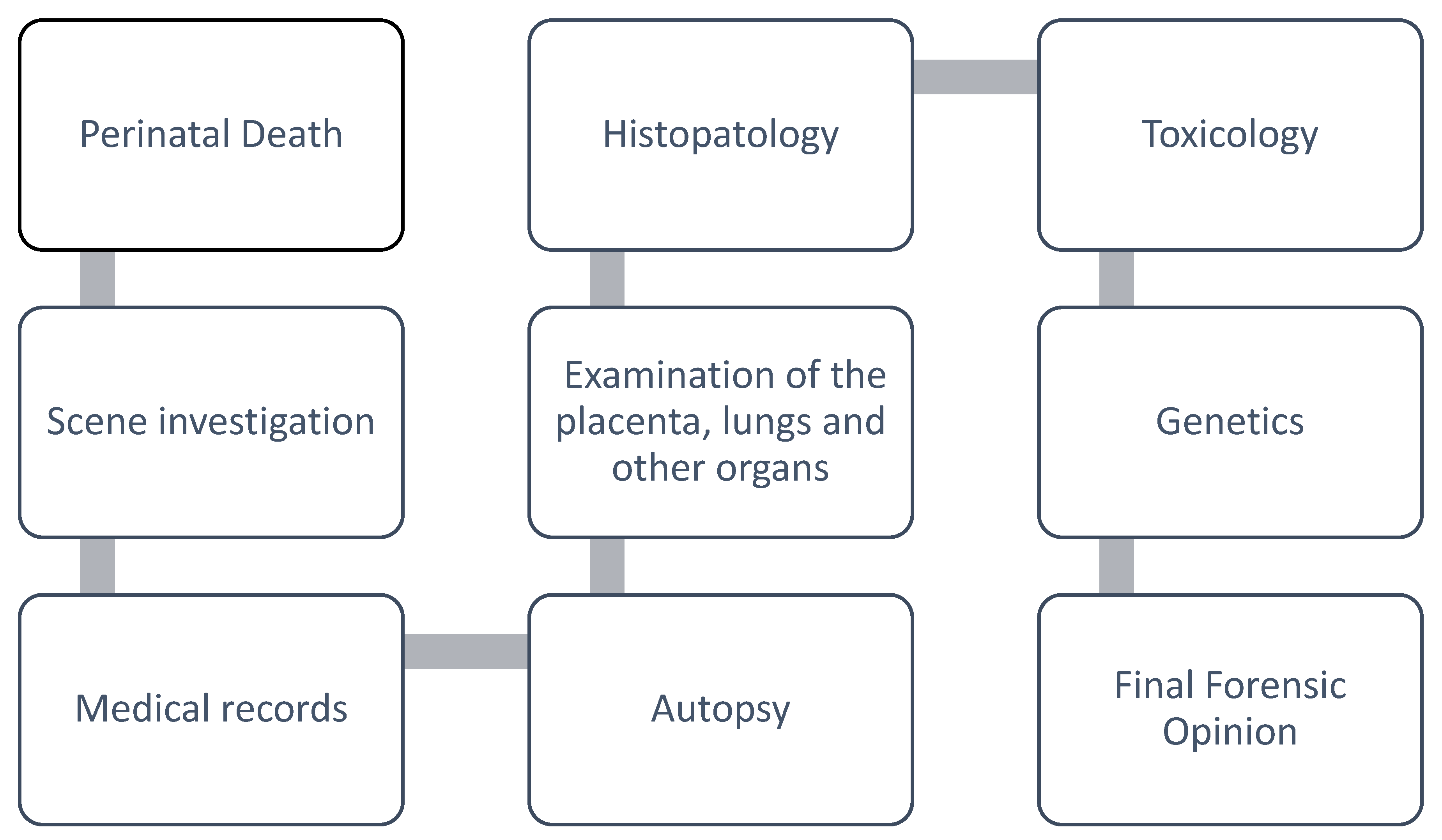 Diagnostics 16 02341 g001