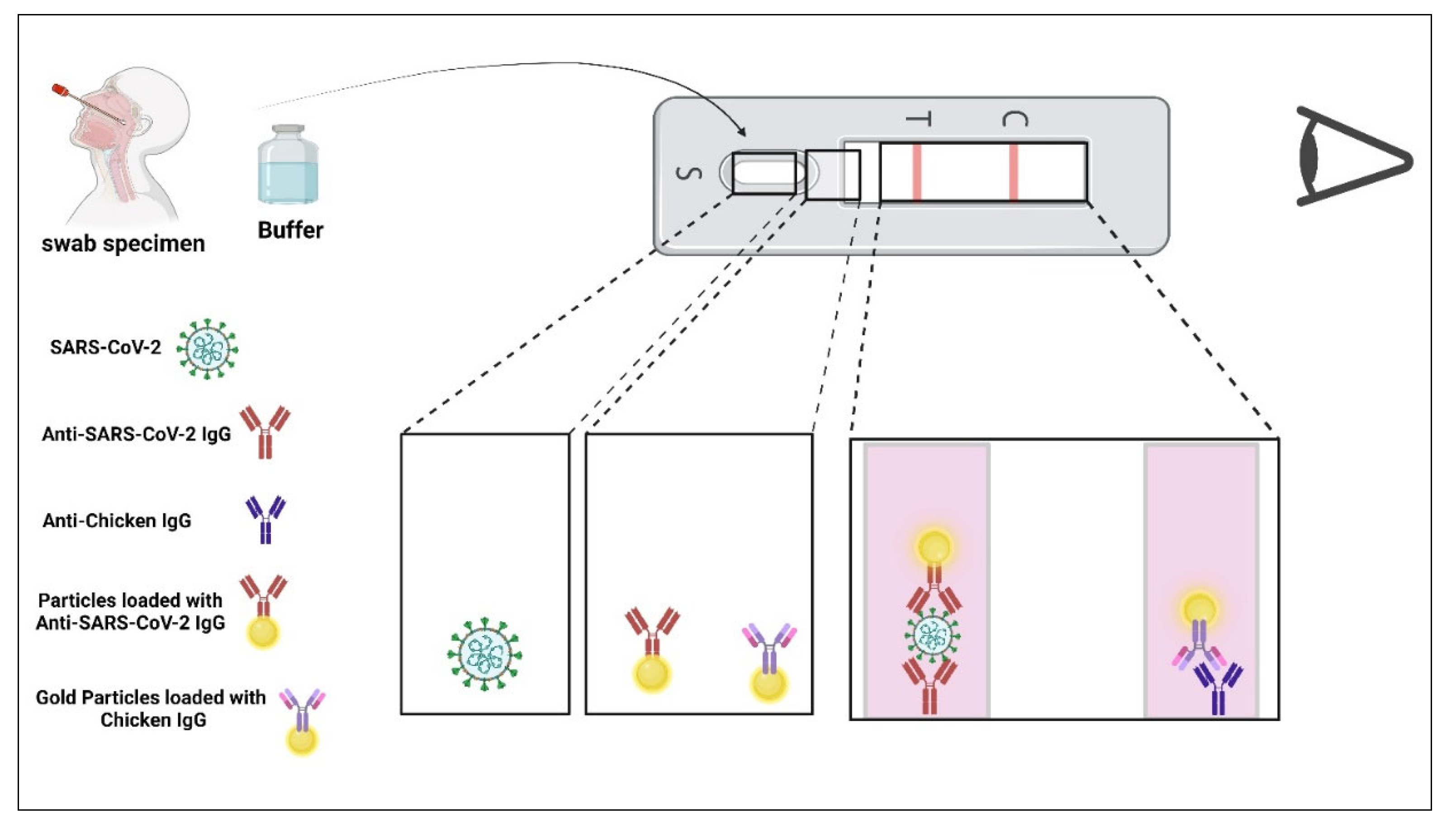 Diagnostics 16 02402 g002