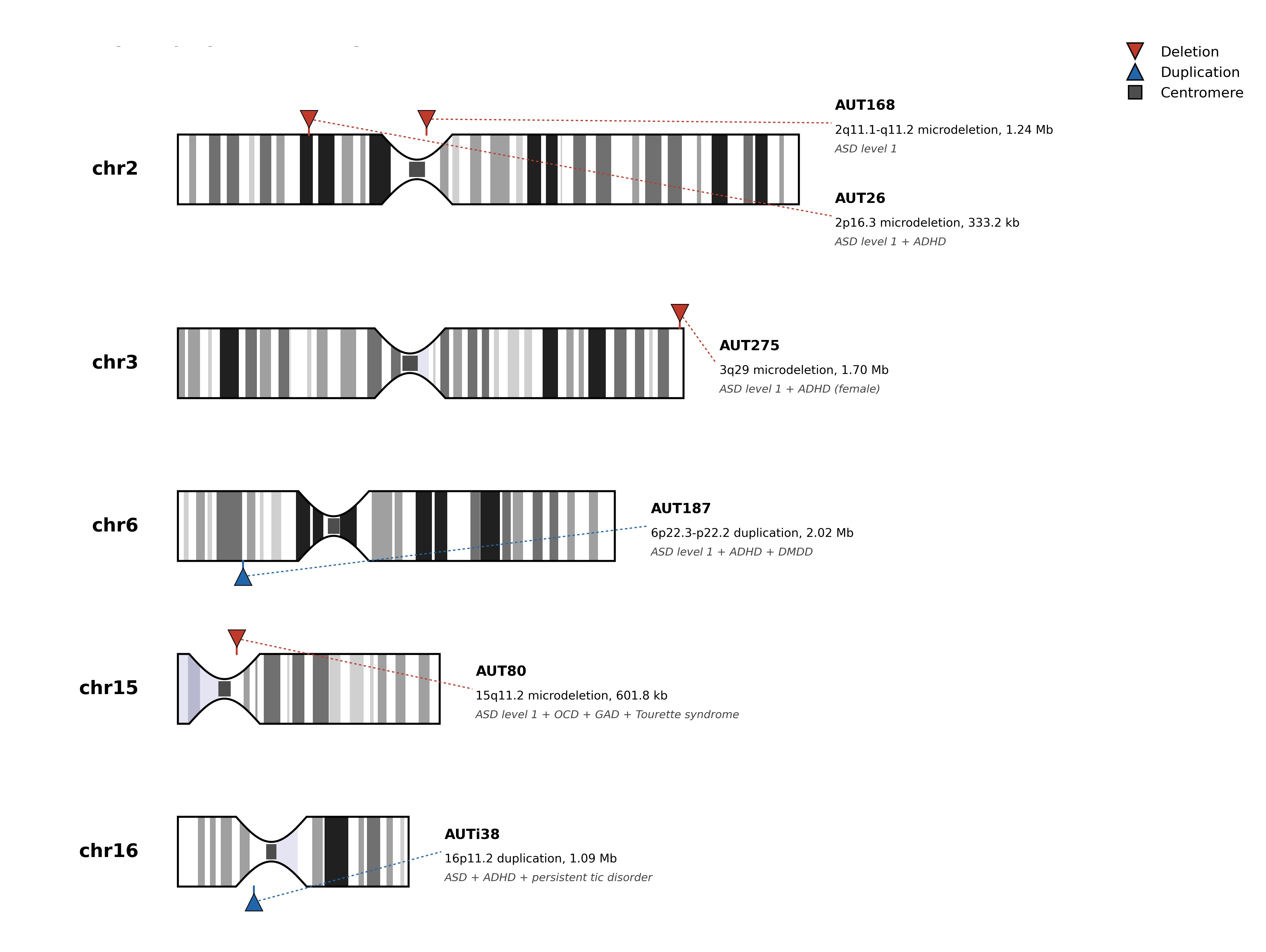 Diagnostics 16 02947 g002 Diagnostics 16 02947 g002