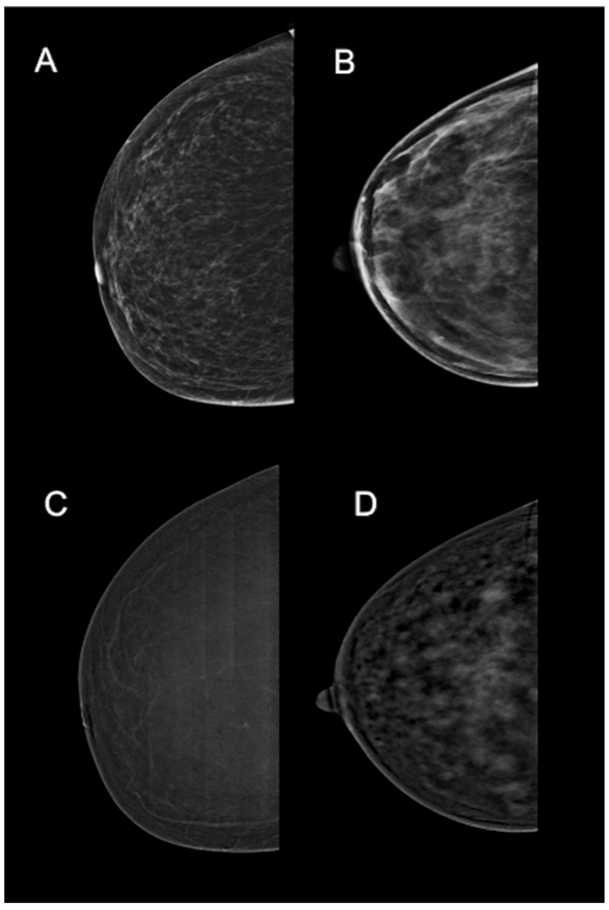 Diagnostics 16 03020 g001 Diagnostics 16 03020 g001