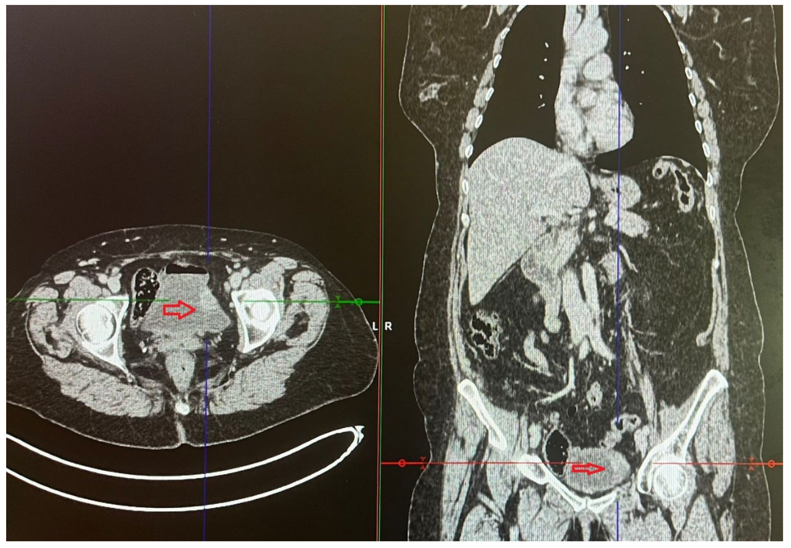 Diagnostics 16 03099 g002