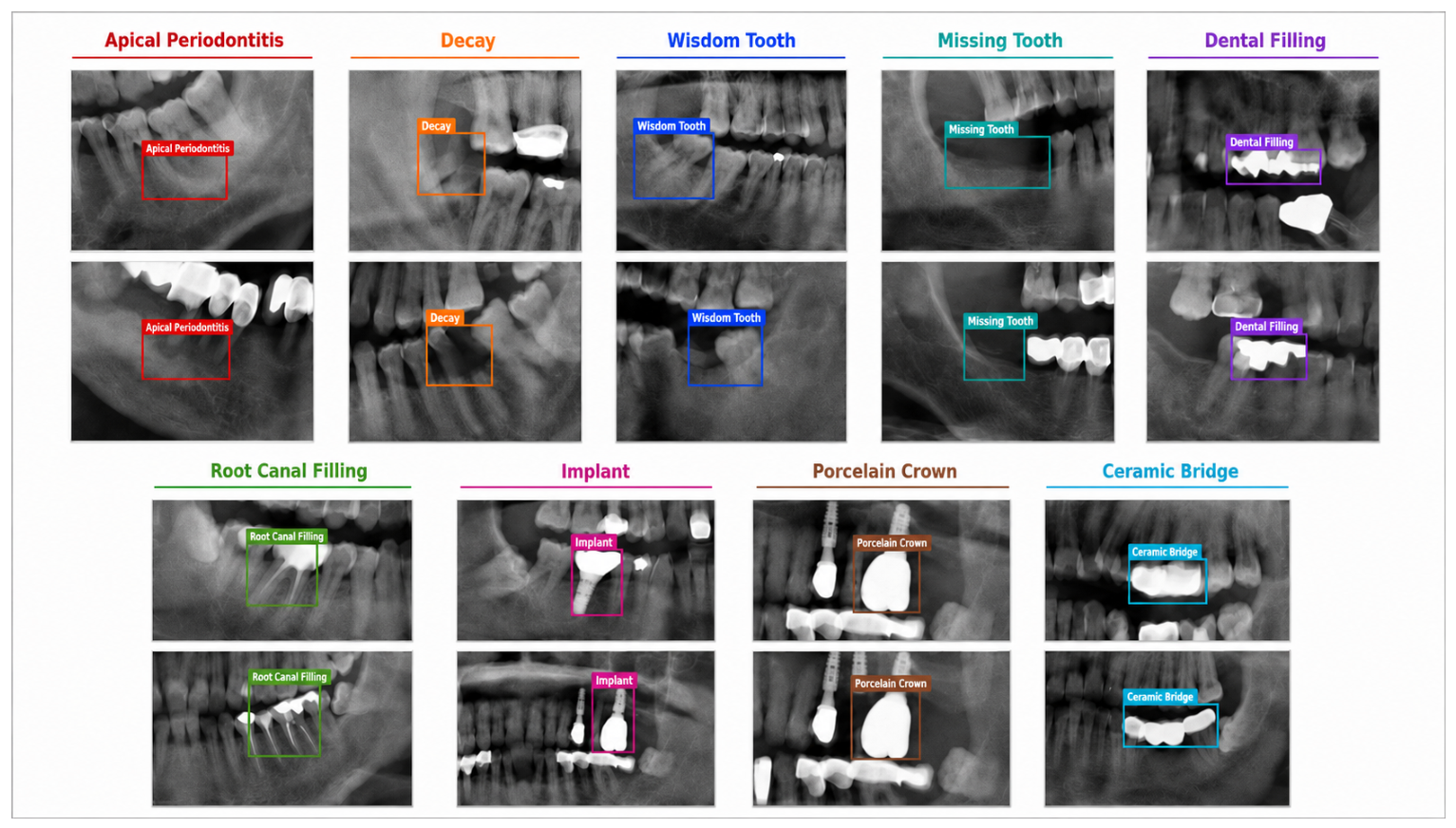Diagnostics 16 03259 g001