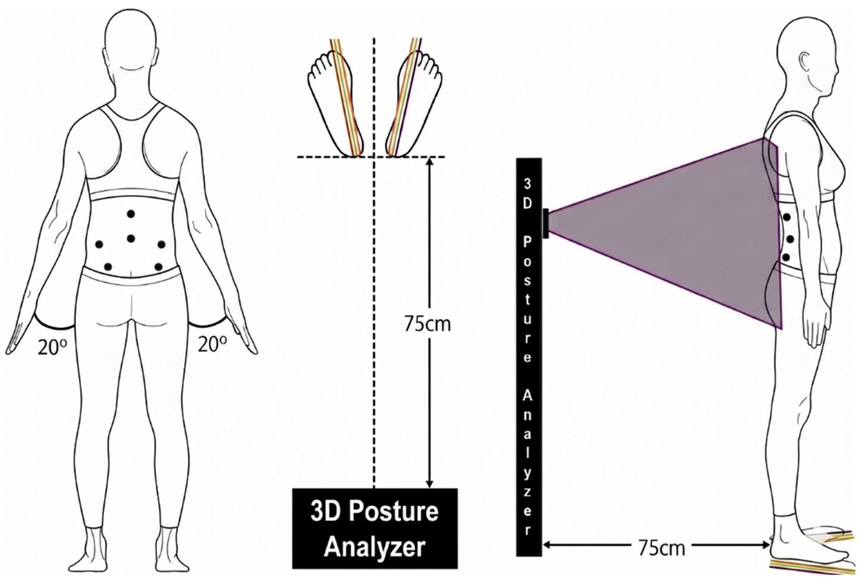 Exploratory Agreement of 3D Body Surface Analysis with Expert Manual ...