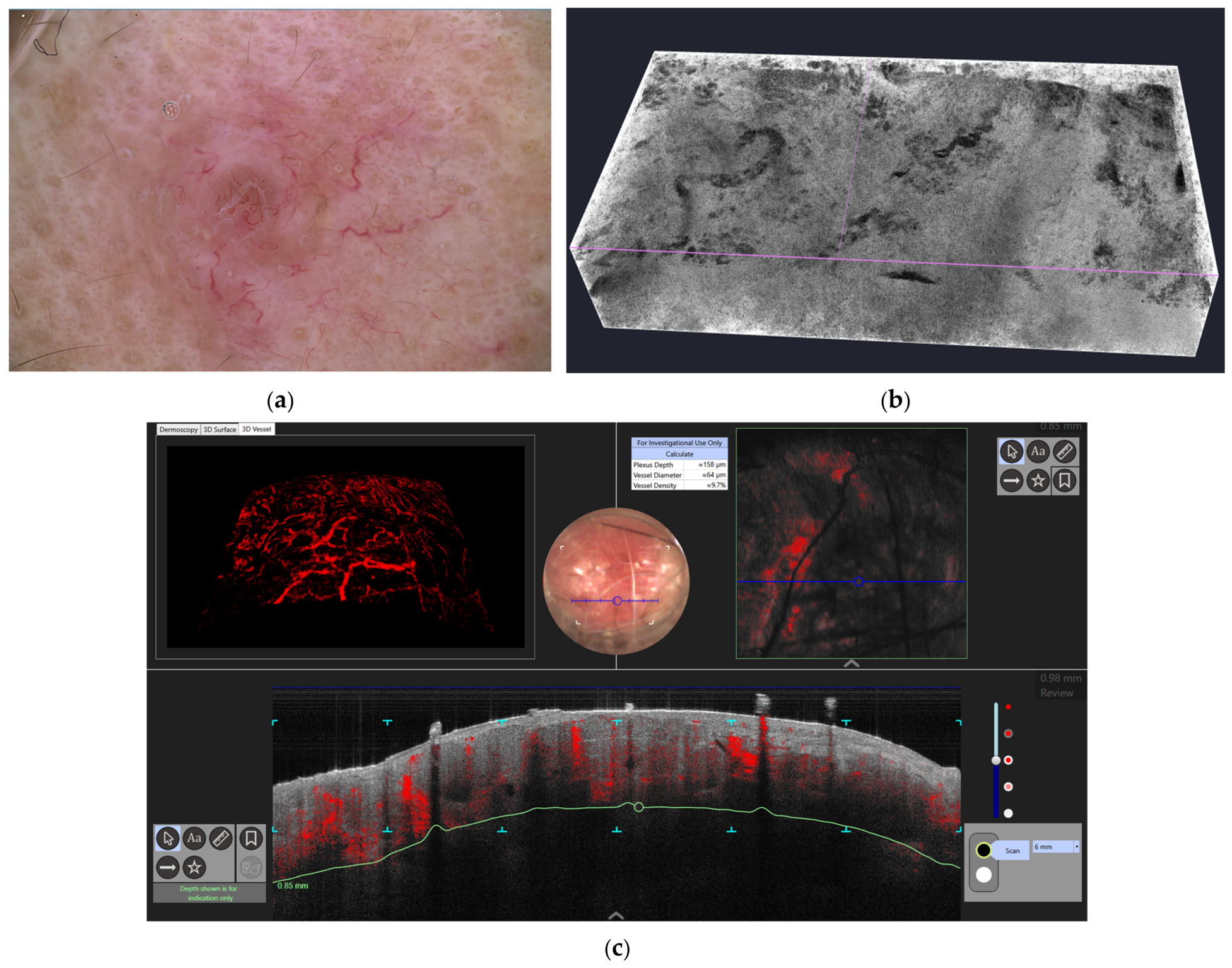Diagnostics 16 03498 g002 Diagnostics 16 03498 g002