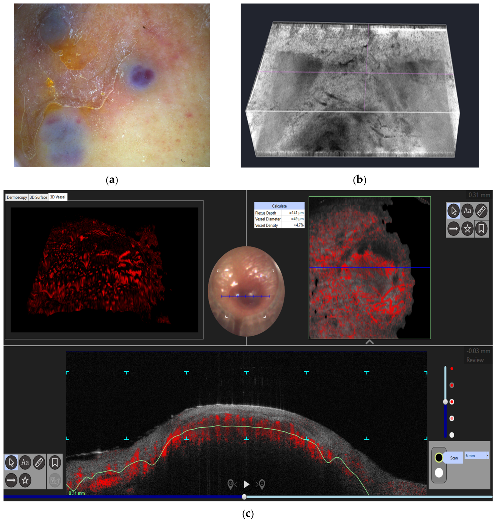 Diagnostics 16 03498 g005 Diagnostics 16 03498 g005