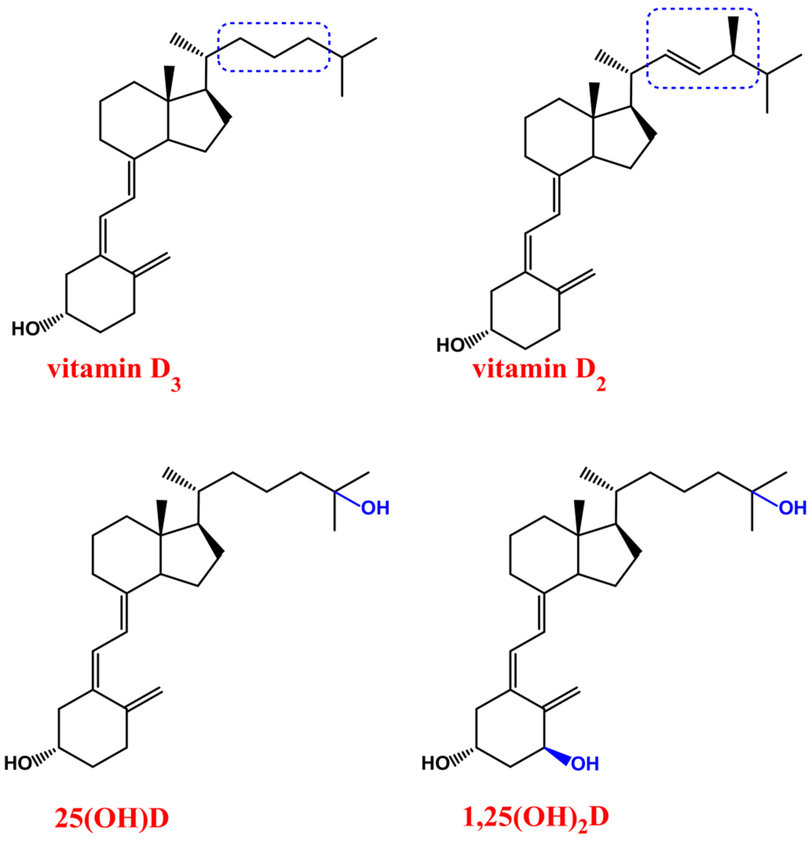 Dietetics 03 00040 g001