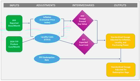 Visual of mathematical modeling approach for calculating standardized dosage.