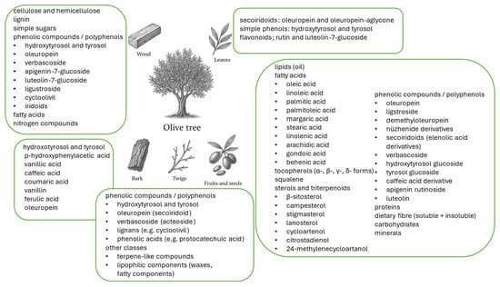 Olive Tree (Olea europaea) Derived Raw Materials (Wood, Twigs, Bark, Leaves, Fruits, and Seeds) and Their Major Chemical Constituents [15,16,17,18,19,20].