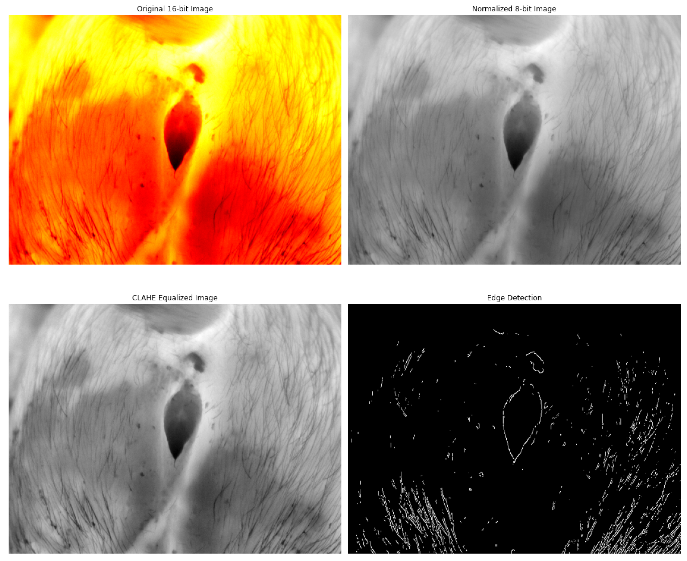 Digital 05 00022 g002