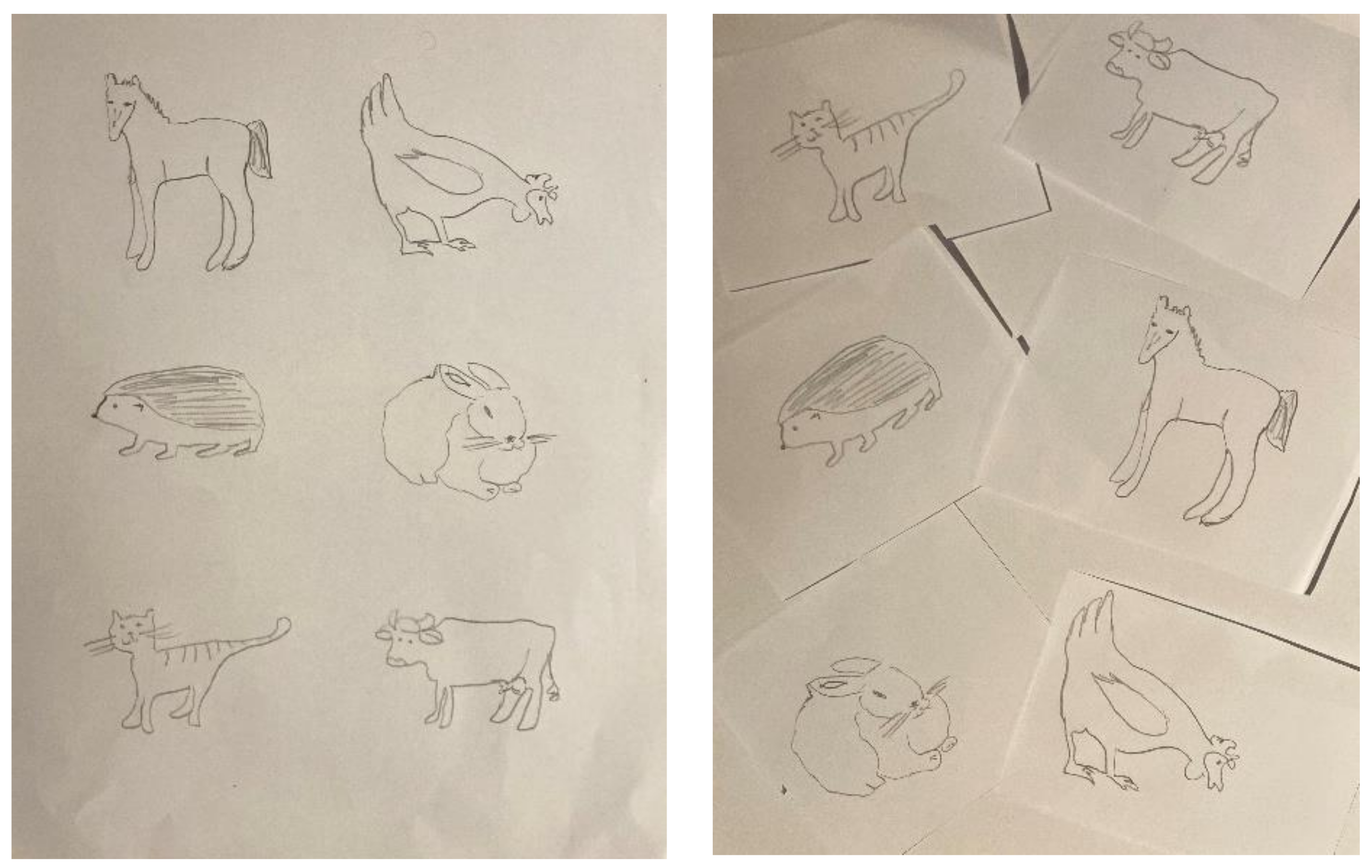 Disabilities 02 00019 g001