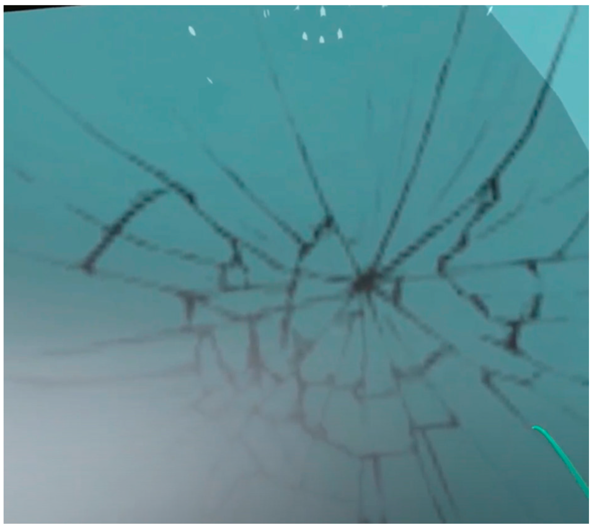 Disabilities 04 00033 g006