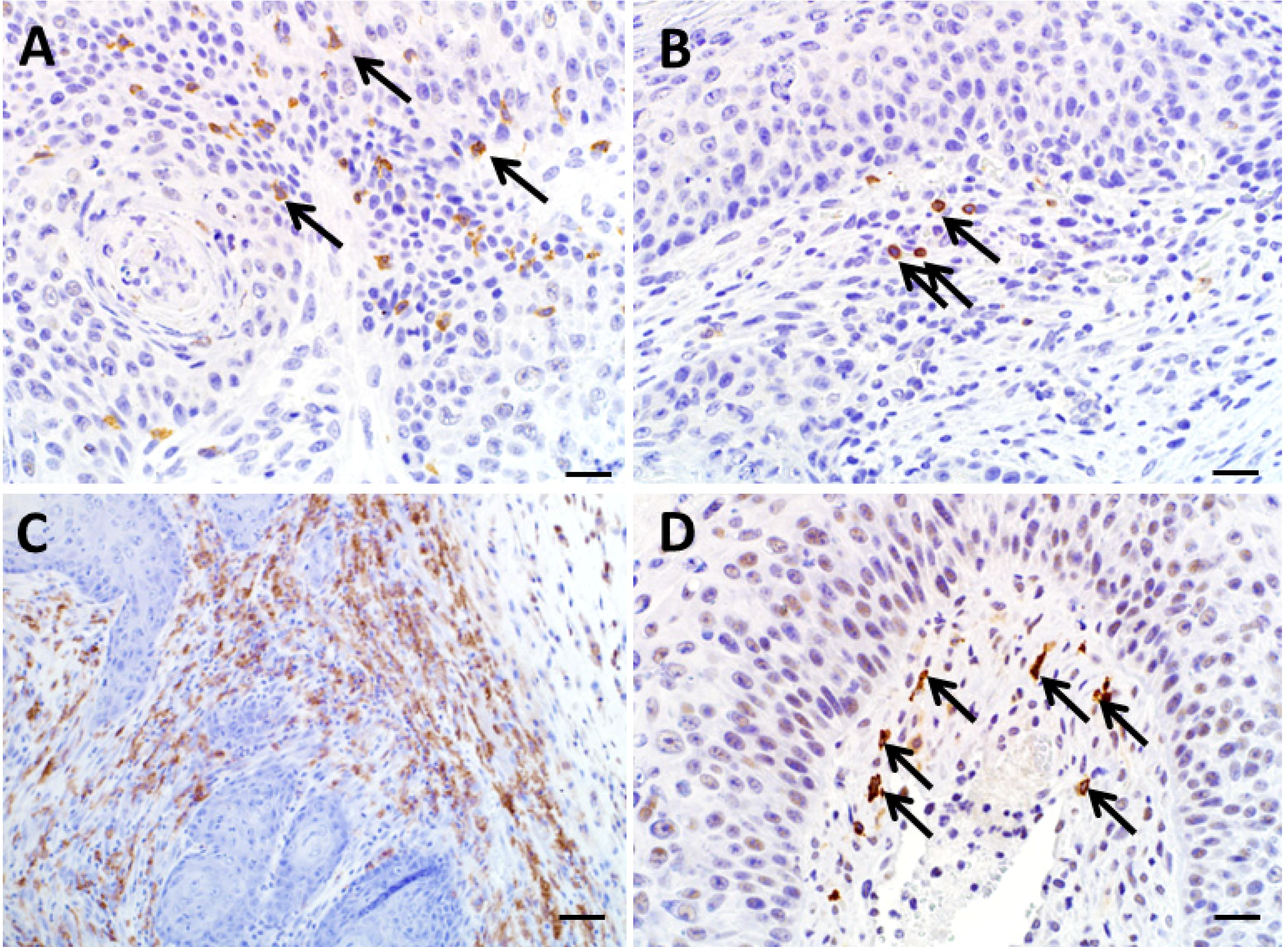 Diseases 02 00106 g006