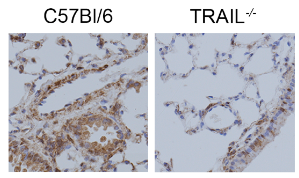 Diseases 02 00260 g006 1024