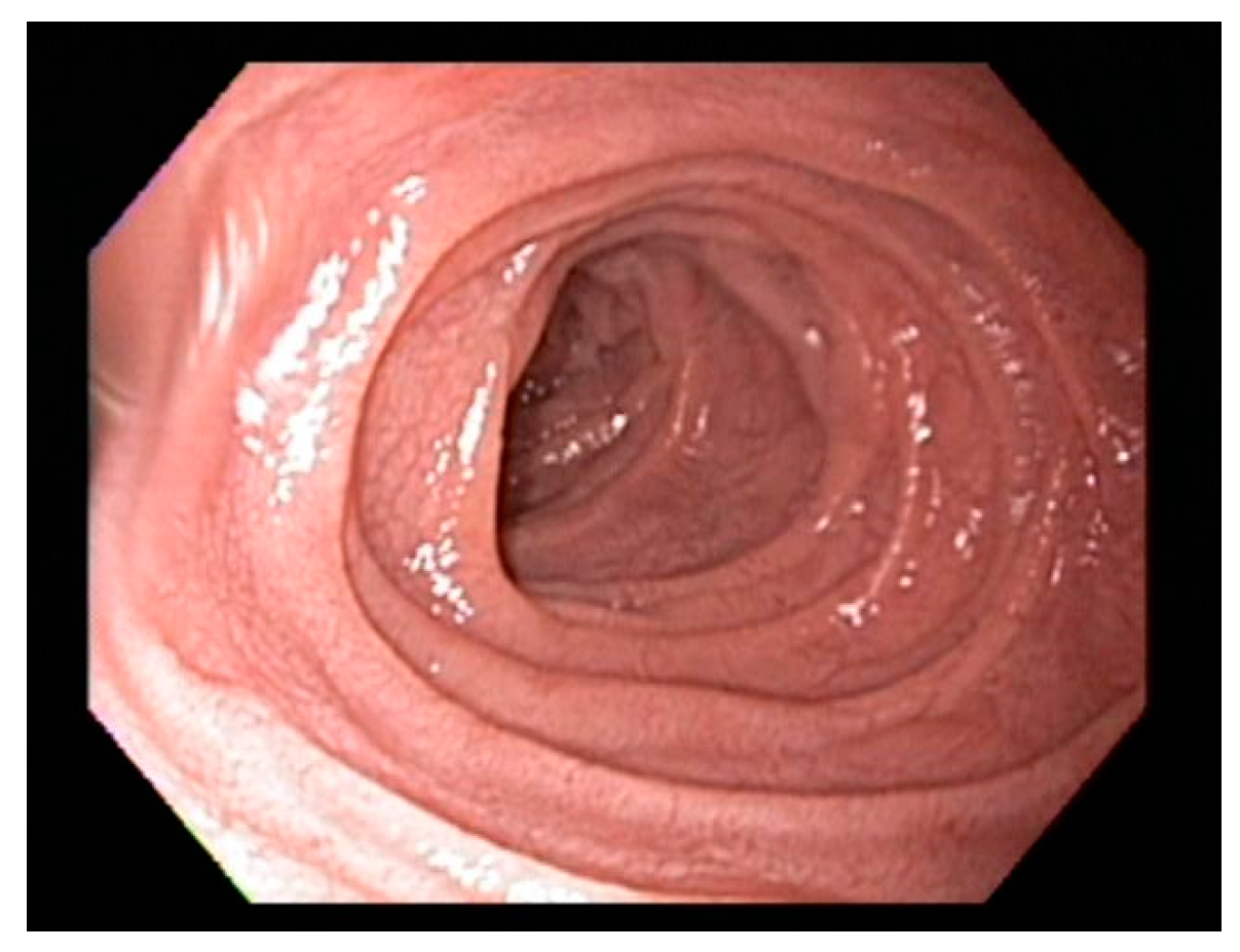 Diseases 03 00086 g002