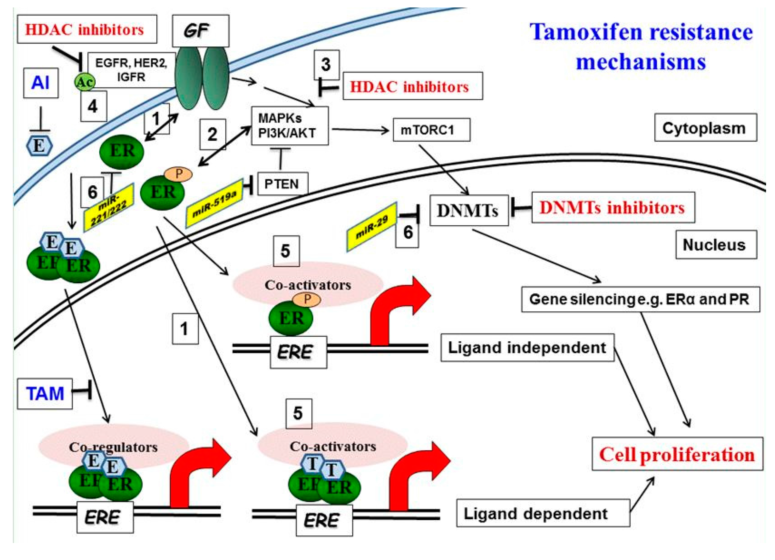 Diseases 05 00016 g001